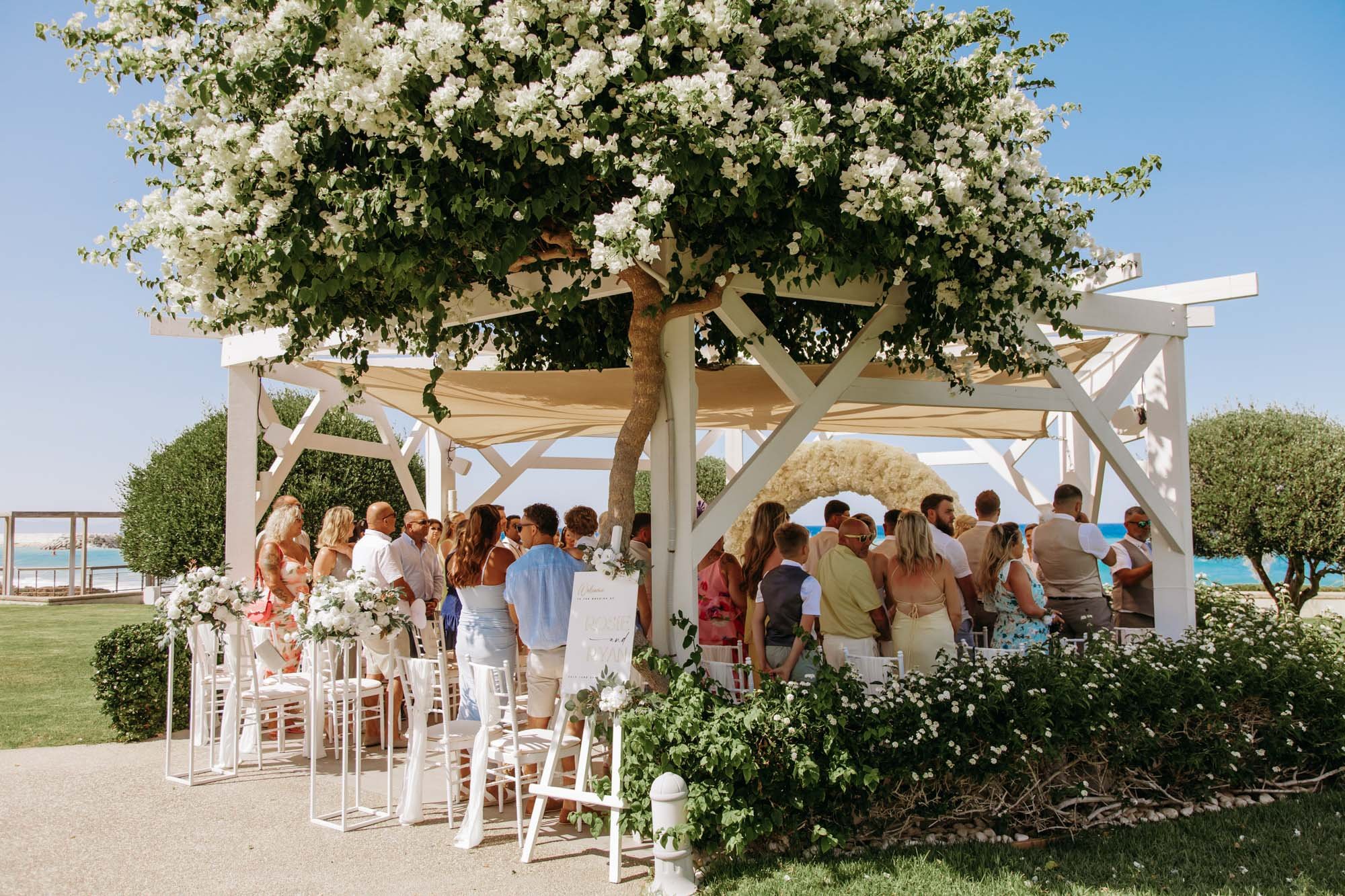 Outdoor wedding ceremony with guests seated under a white canopy and a large flowering tree in a scenic location by the water.