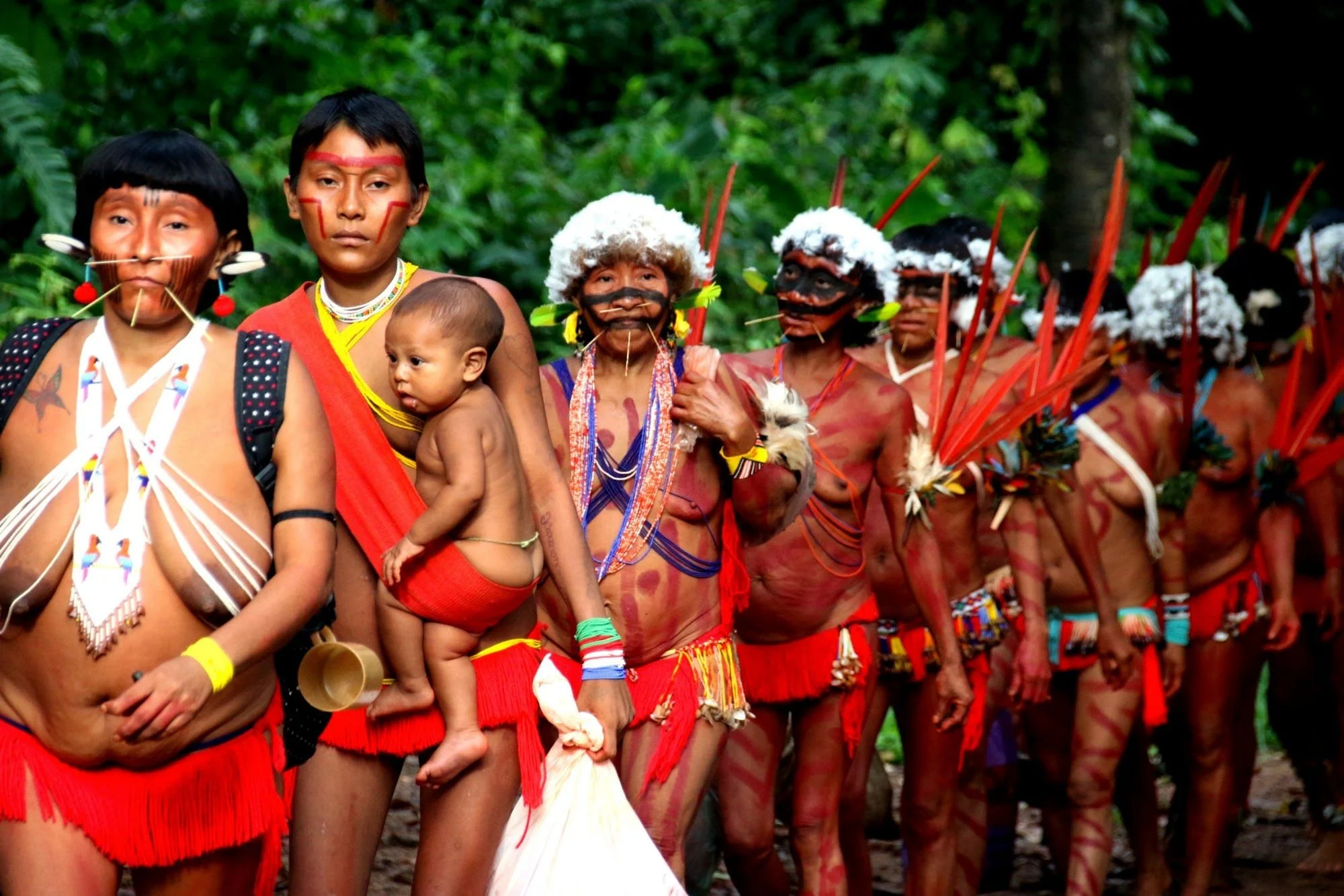 In a striking procession deep within the Amazon, members of the Kayapo community walk together in ceremonial dress—an affirmation of strength, identity, and shared heritage. Among them, a mother carries her baby in a woven red sling that supports the
