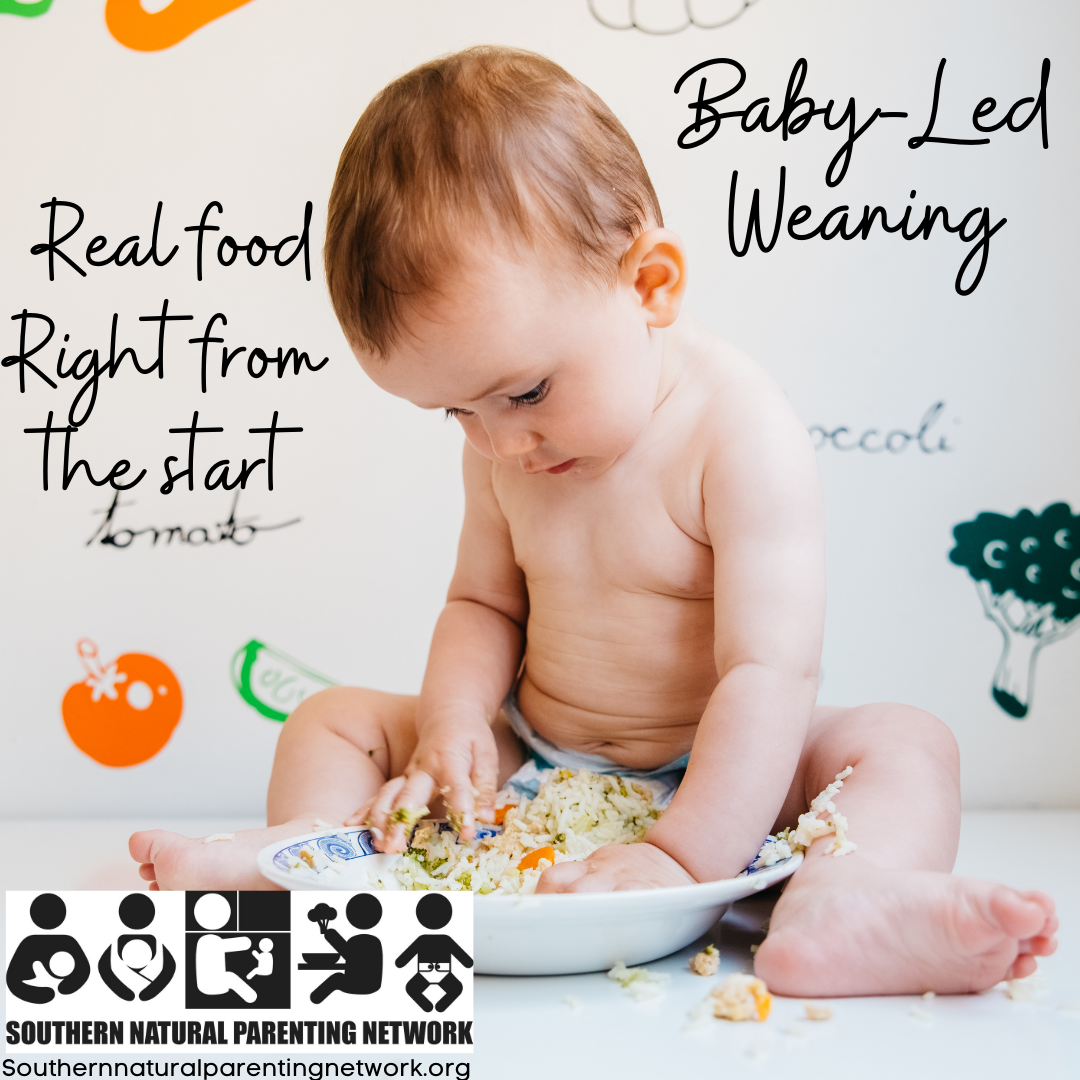 What is Baby-Led Weaning? - Birth to Two - Parents - Twinkl