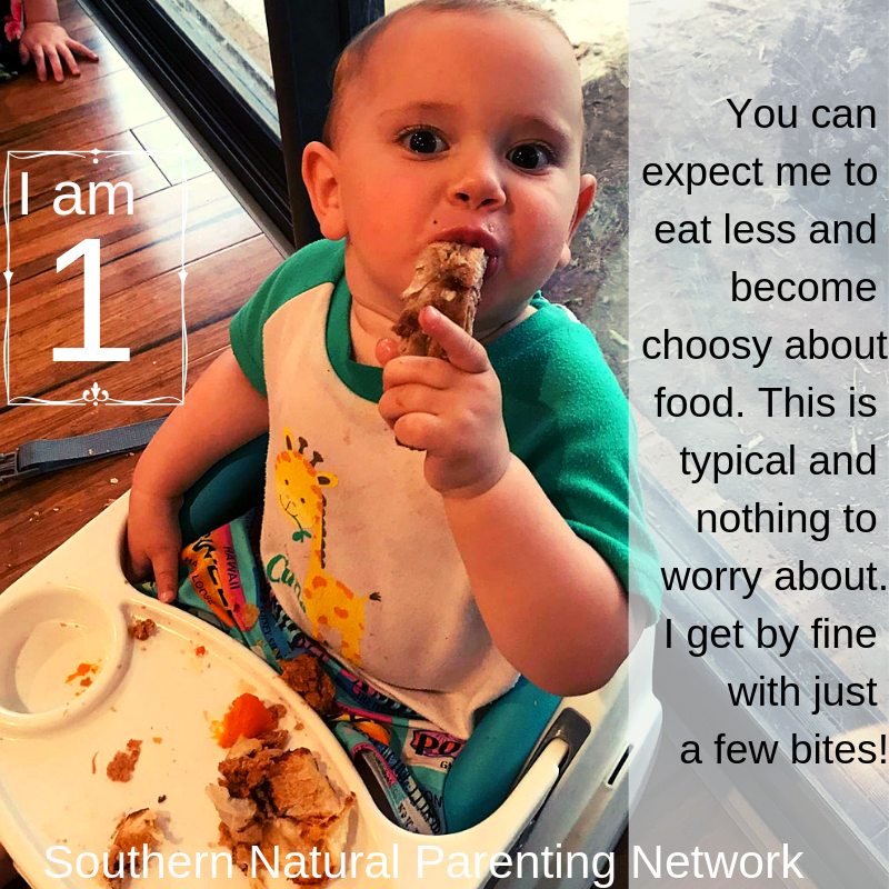 The second year: feeding your one year old at breast and table