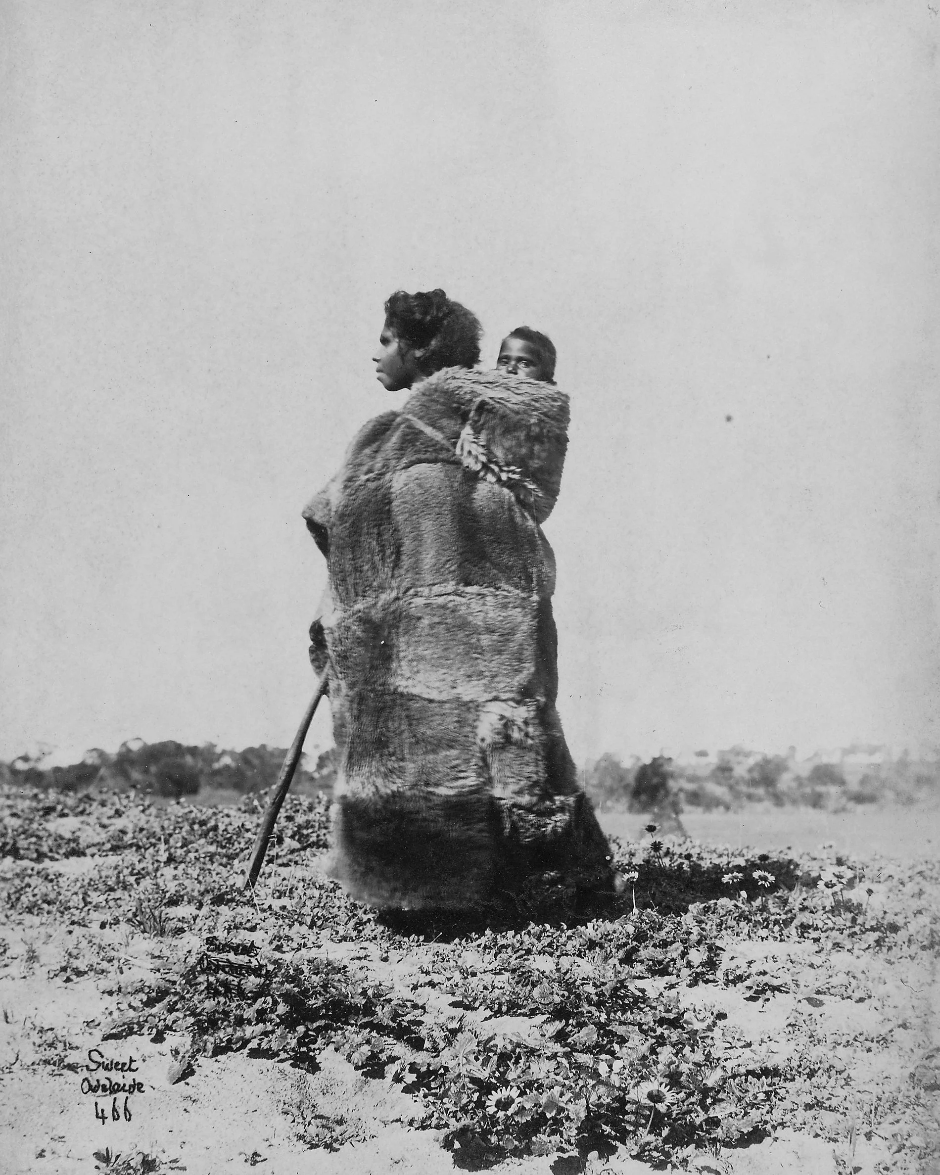 Aboriginal and Torres Strait Islander Peoples: Country, Kin, and Cloaks