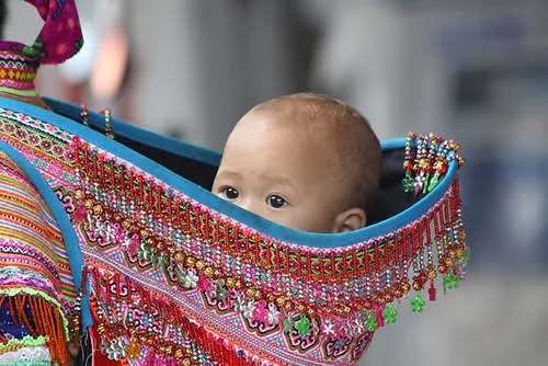 images - 2025-07-04T170630.062.jpeg