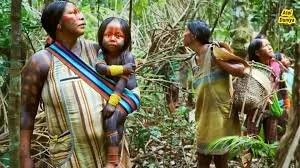 In the lush depths of the Amazon, a group of Kayapo women move together through the forest — a powerful image of continuity and community. One mother, her skin adorned with traditional body paint and jewelry, carries her child in a vibrantly striped