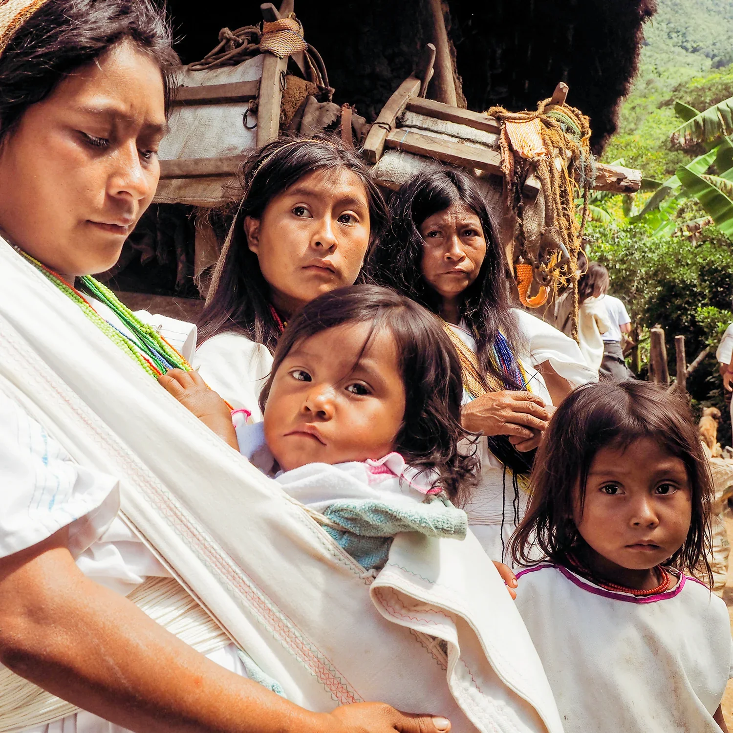 Among the Kogi people of Colombia’s Sierra Nevada, babies are nestled into handwoven cotton cloths, swaddled close to their mothers’ hearts. The fabric—carefully wrapped and pleated—is part of a much larger thread of tradition that ties generations t