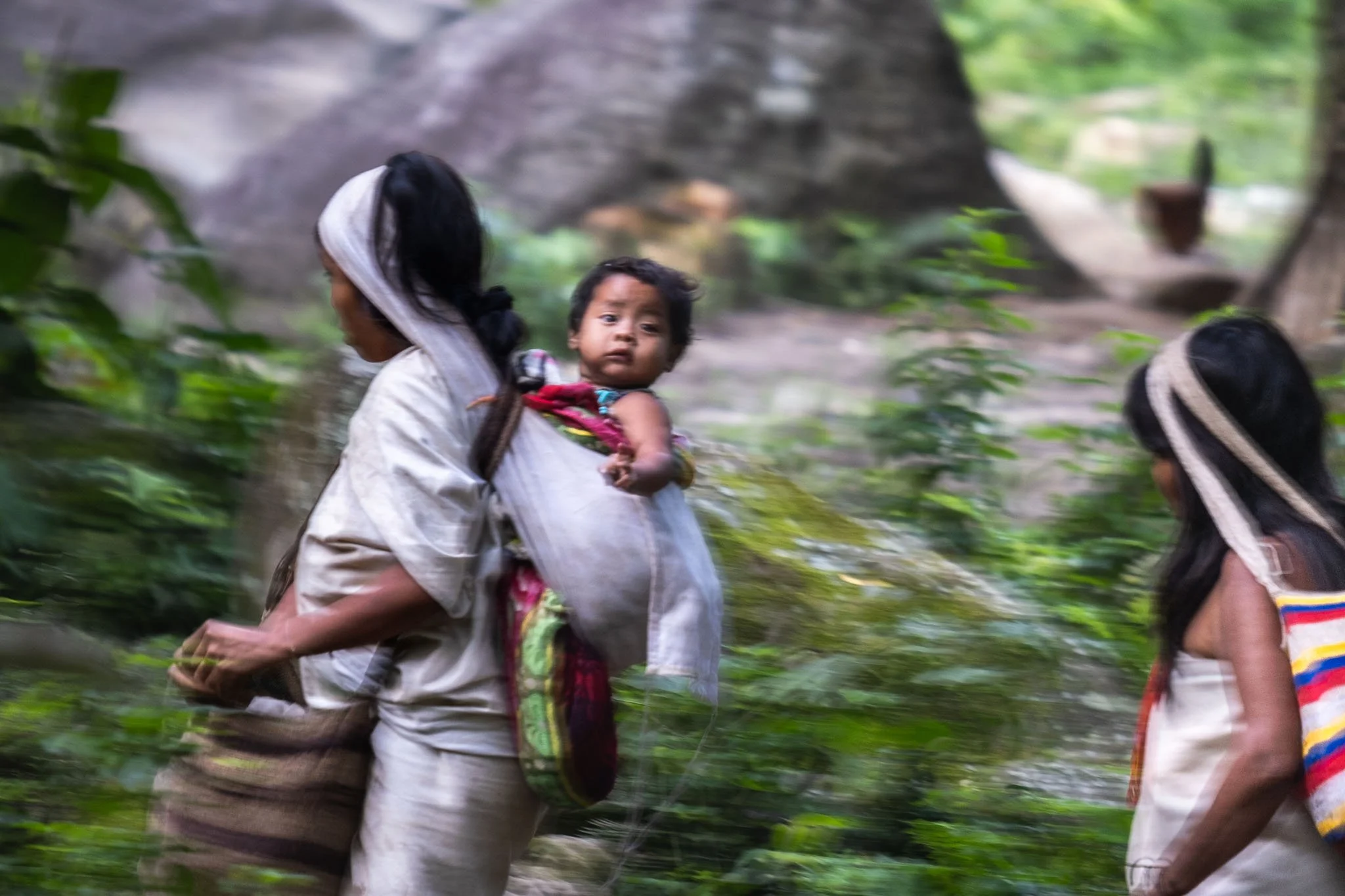 In the soft blur of forest motion, a mother of the Arhuaco people moves with quiet purpose, her baby snug in a cloth sling across her back. The child’s gaze meets ours—steady, unbothered by the pace or the path. Wrapped in the same natural tones as t