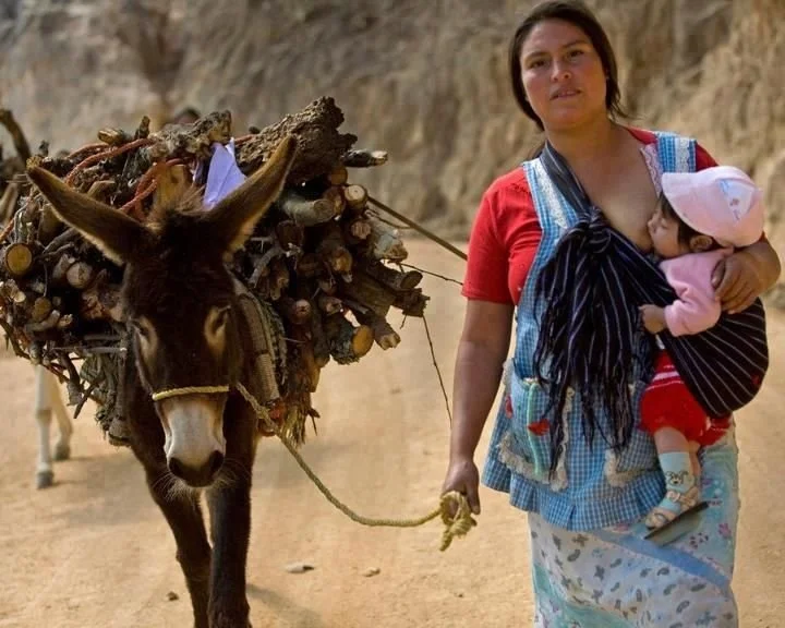 In this striking and deeply human photograph, a Mexican mother walks confidently along a dusty rural road, her baby securely held against her chest in a traditional rebozo. The soft, woven cloth is carefully tied to create a snug, supportive pouch, a