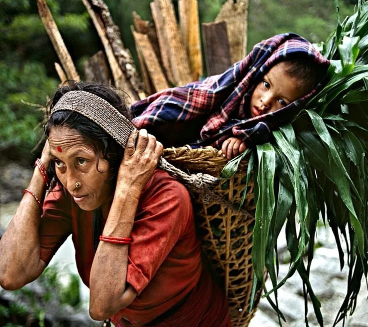 A powerful image of generational resilience: a woman carries a large woven basket on her back, secured with a tumpline across her forehead. Inside the basket is a resting child, partially wrapped in a warm plaid cloth and nestled among green foliage