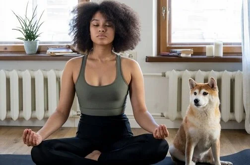 A beginner’s guide to meditation