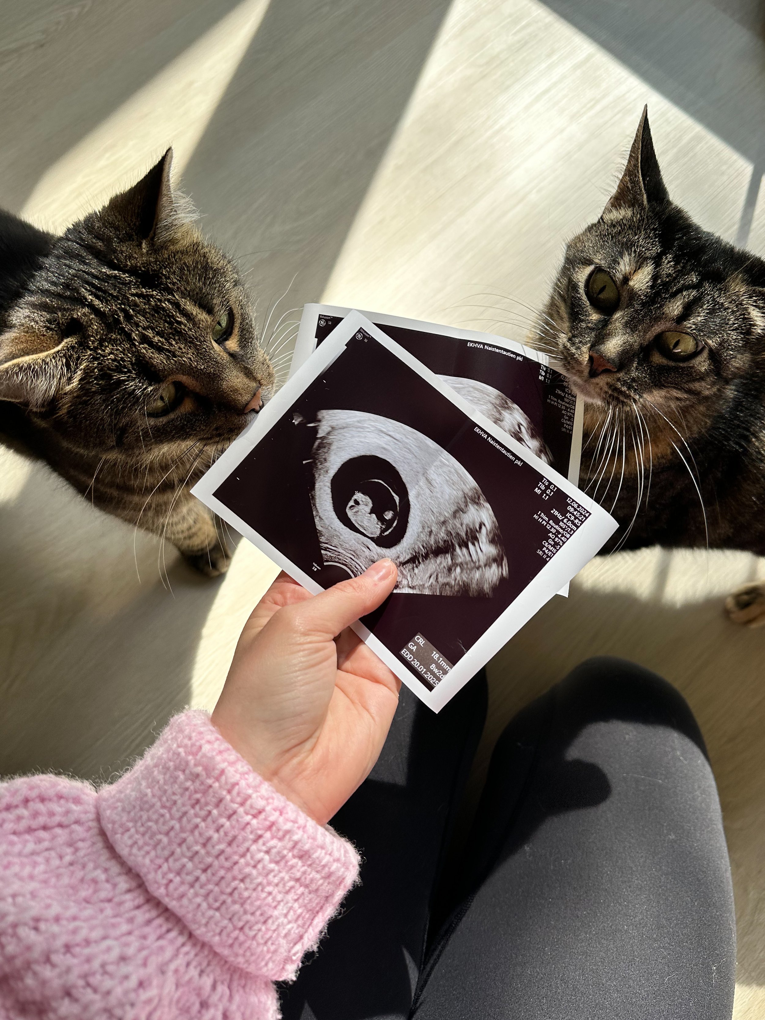 Odotuksen ensimmäinen puolikas