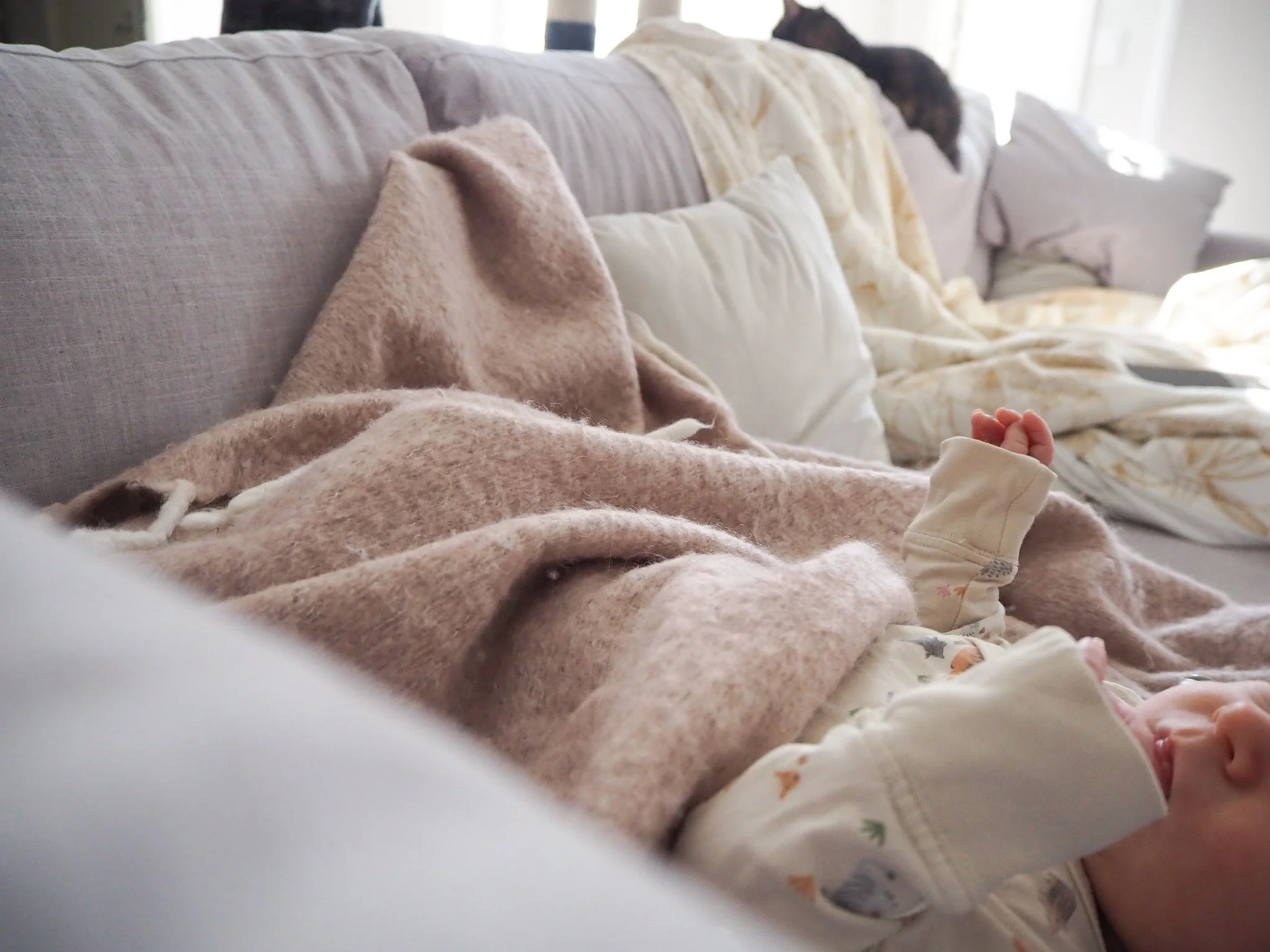  Harvinaiset yhteispäikkärit sohvalla 