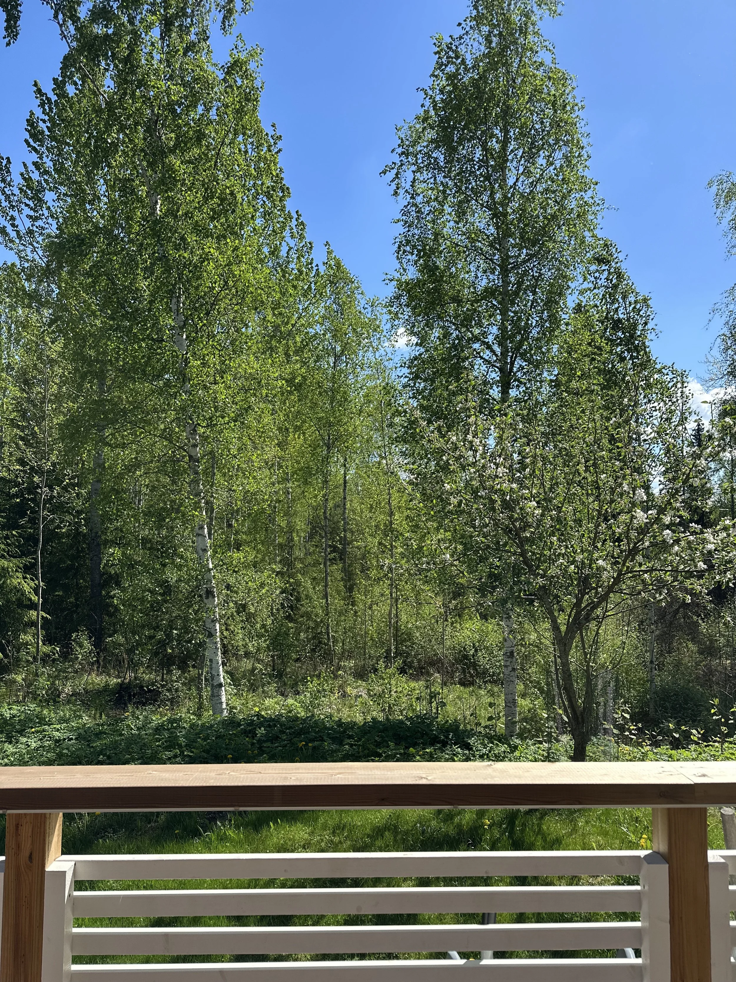 loma häämöttää