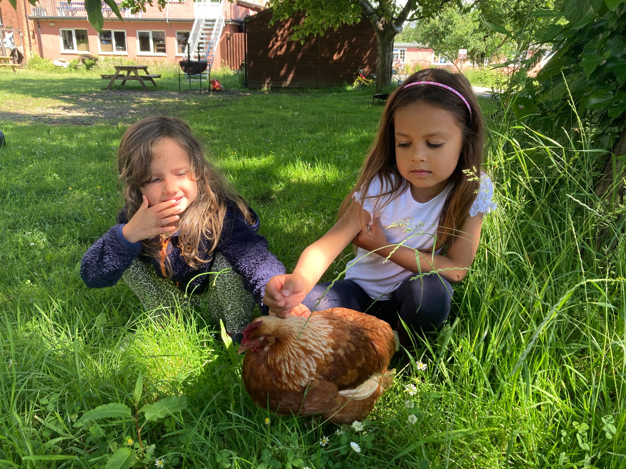 A typical Summerhill day — A.S. Neill Summerhill School