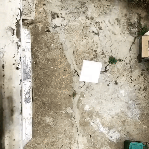 final.gif