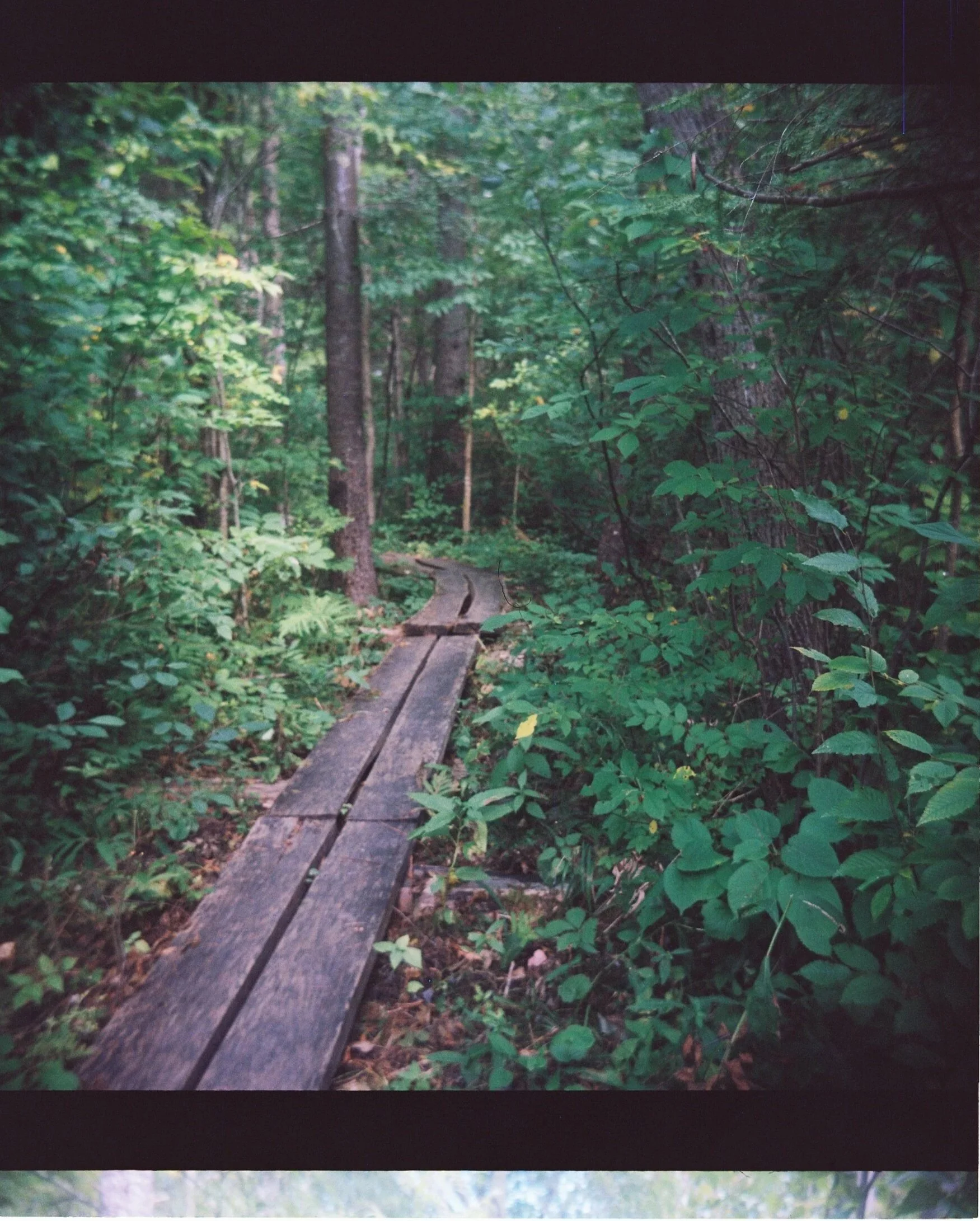 Photographed with: Kodak Duaflex III on 120 film