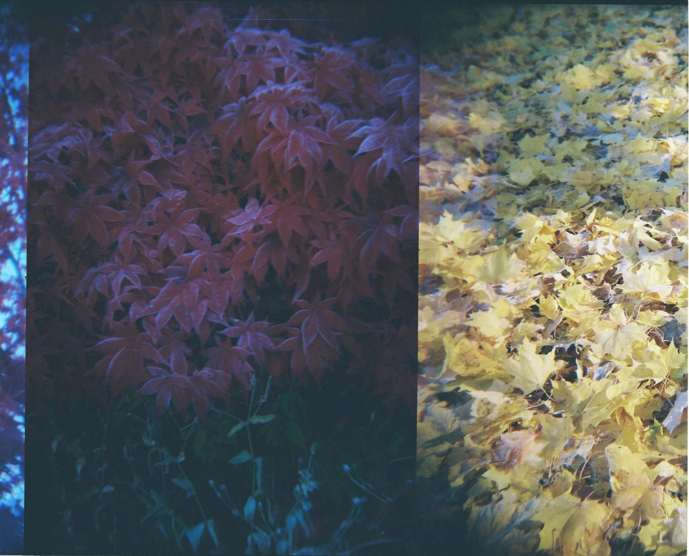 2020
Photographed with: Lomography Holga 120n