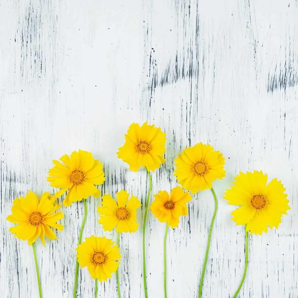 FLORAL-16.jpg