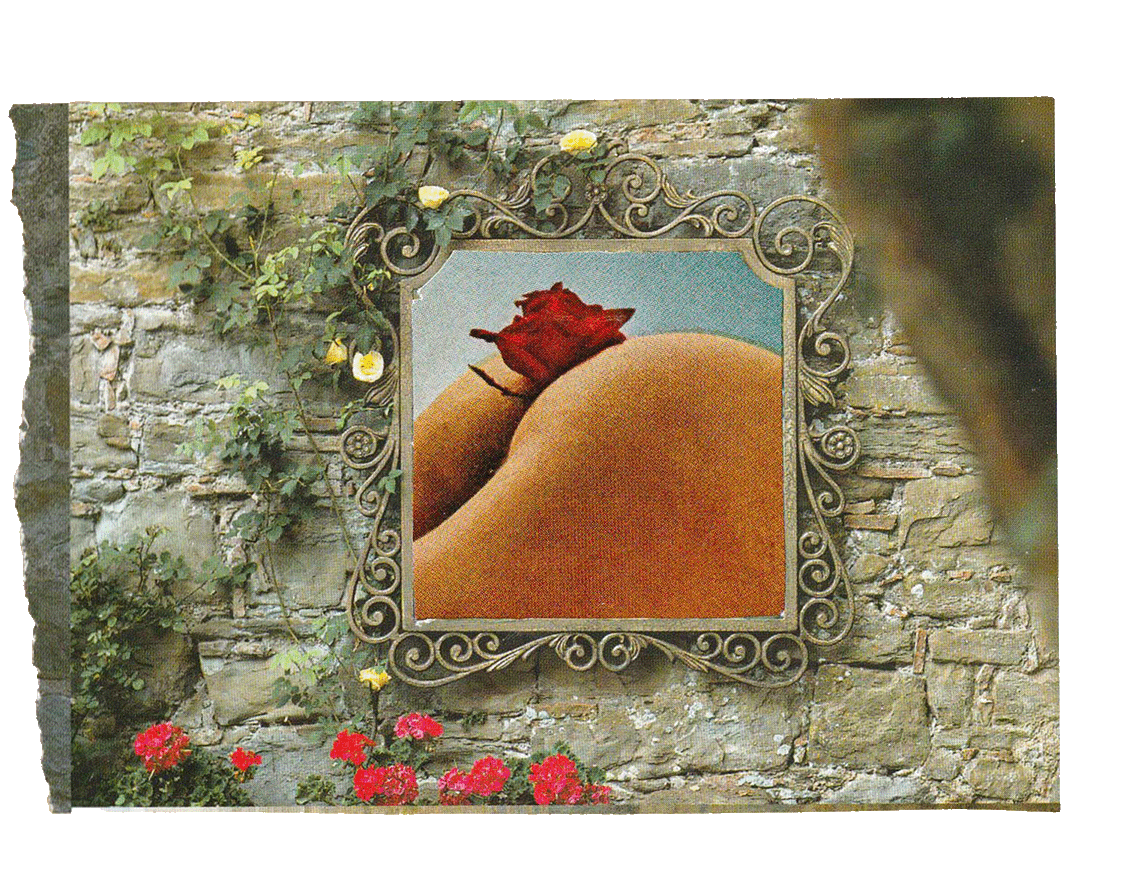 analog-collage-2026-1.png
