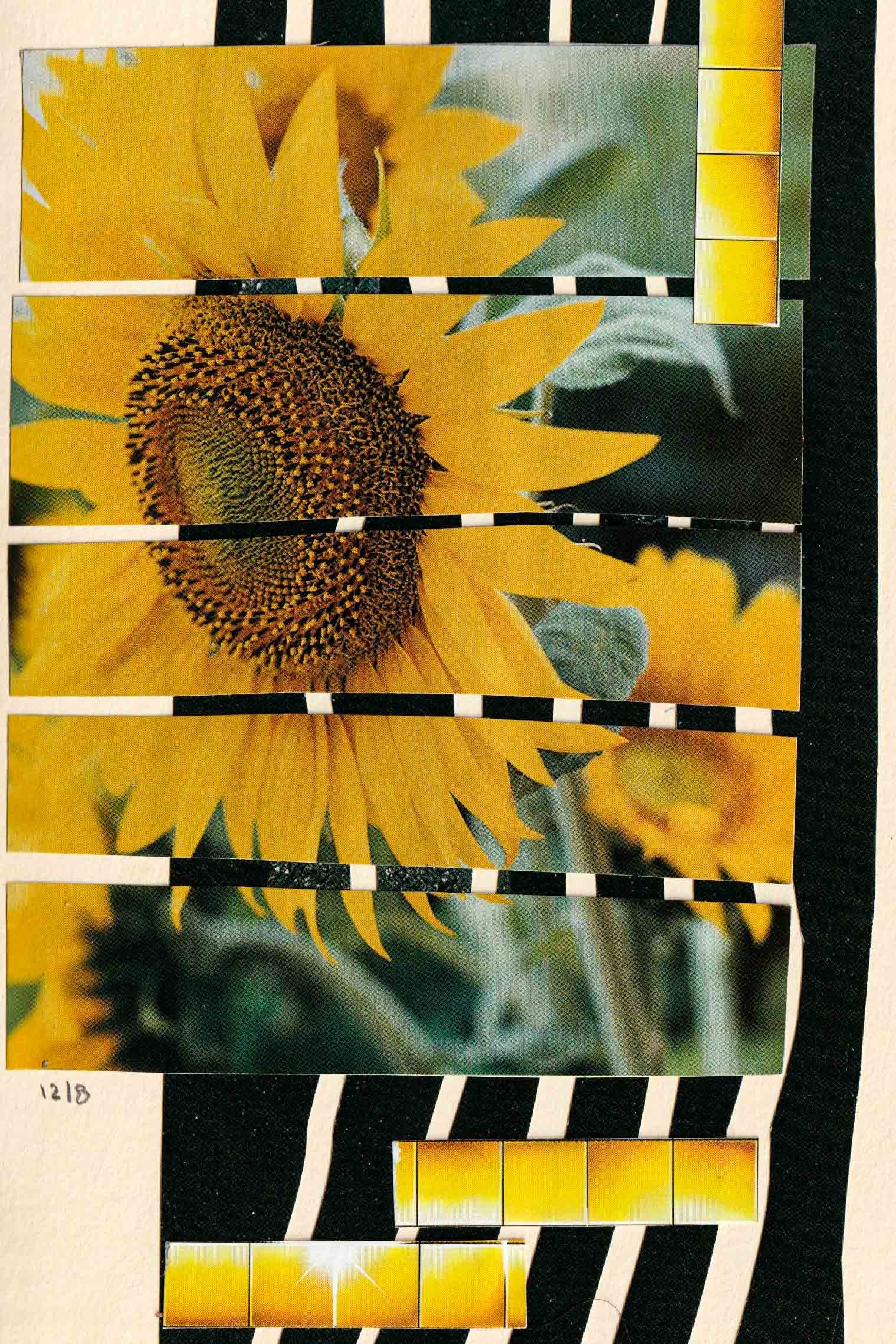 analog-collage-2026-25.jpg