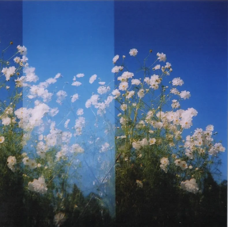 2008 Holga 120