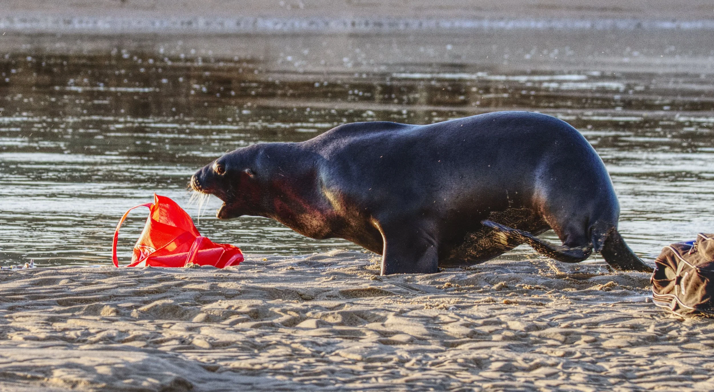 Gallery 3 — Ecosystems Photography