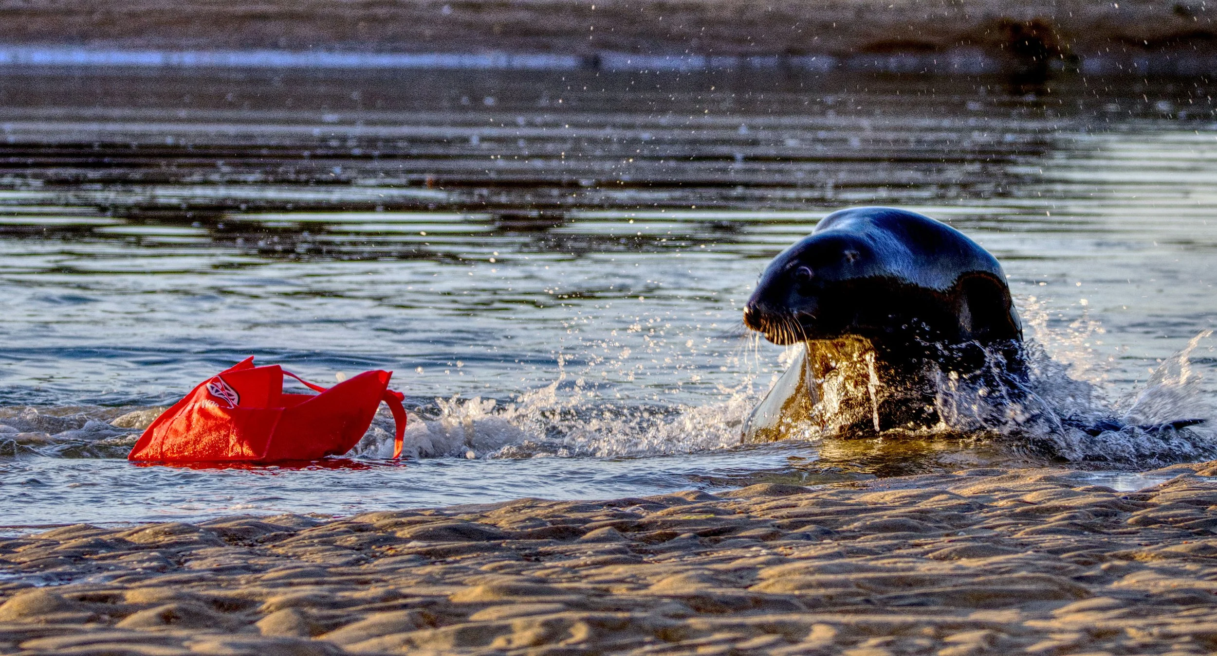 Gallery 3 — Ecosystems Photography