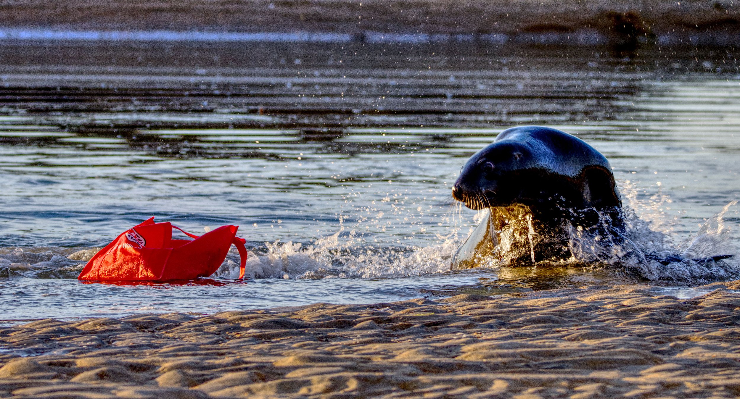 Gallery 3 — Ecosystems Photography