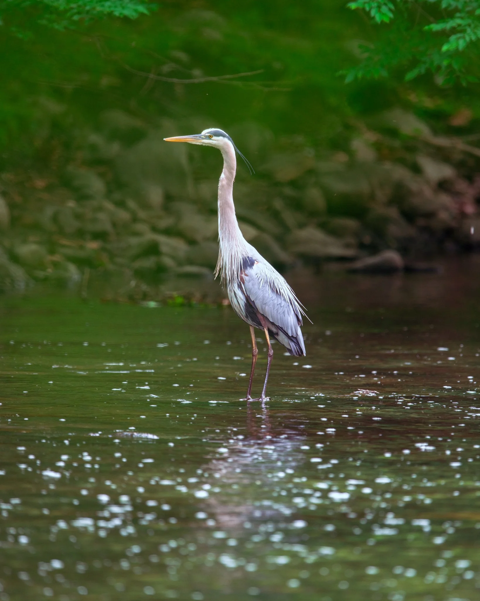 DSC_0751.jpg