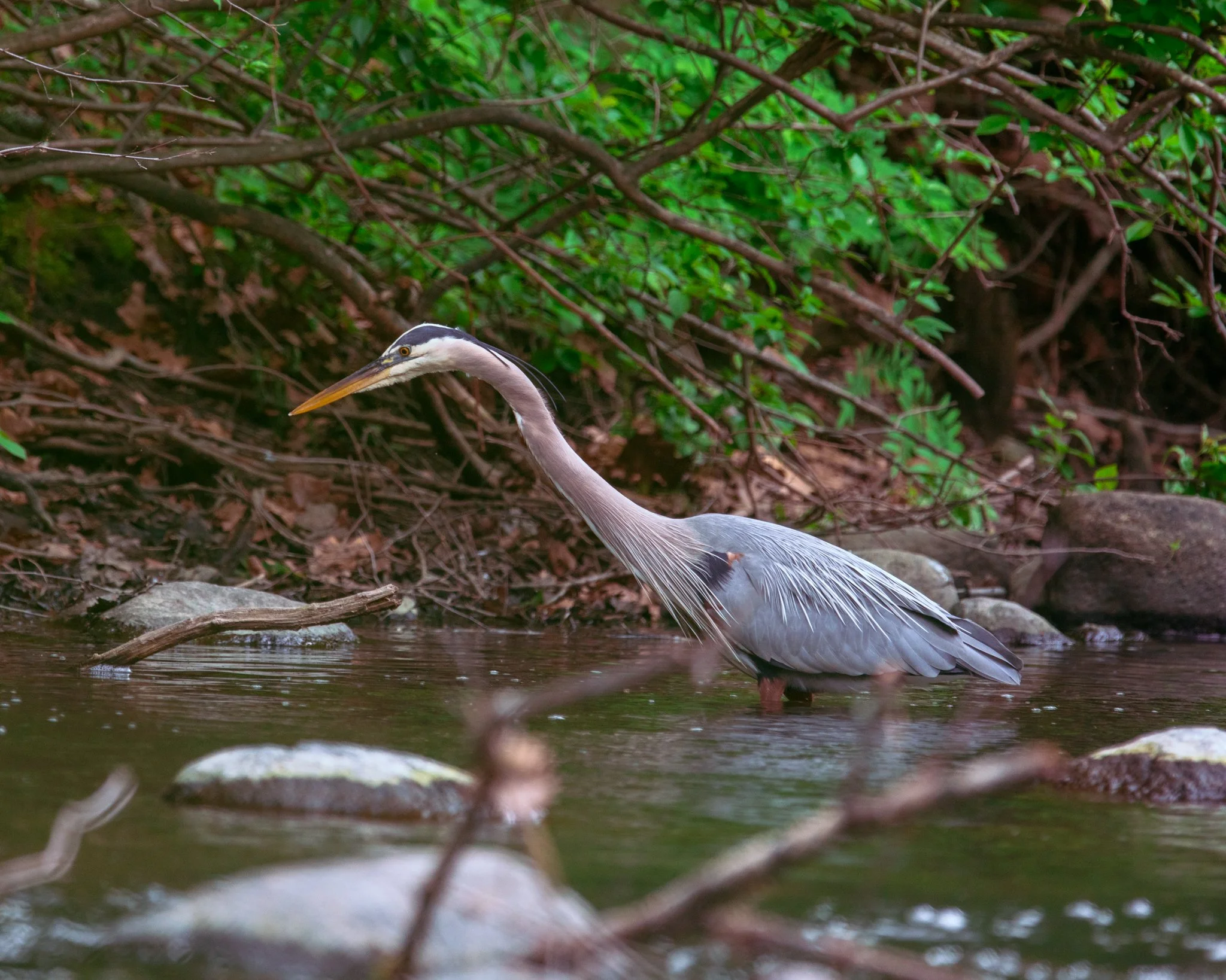 DSC_0792.jpg