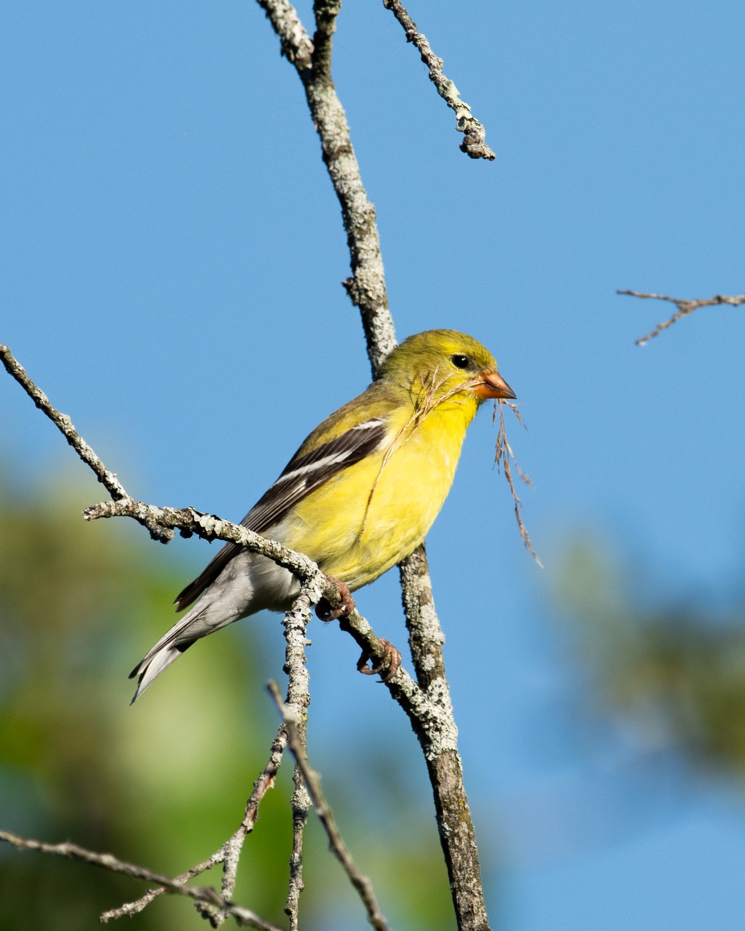 DSC_0688.jpg