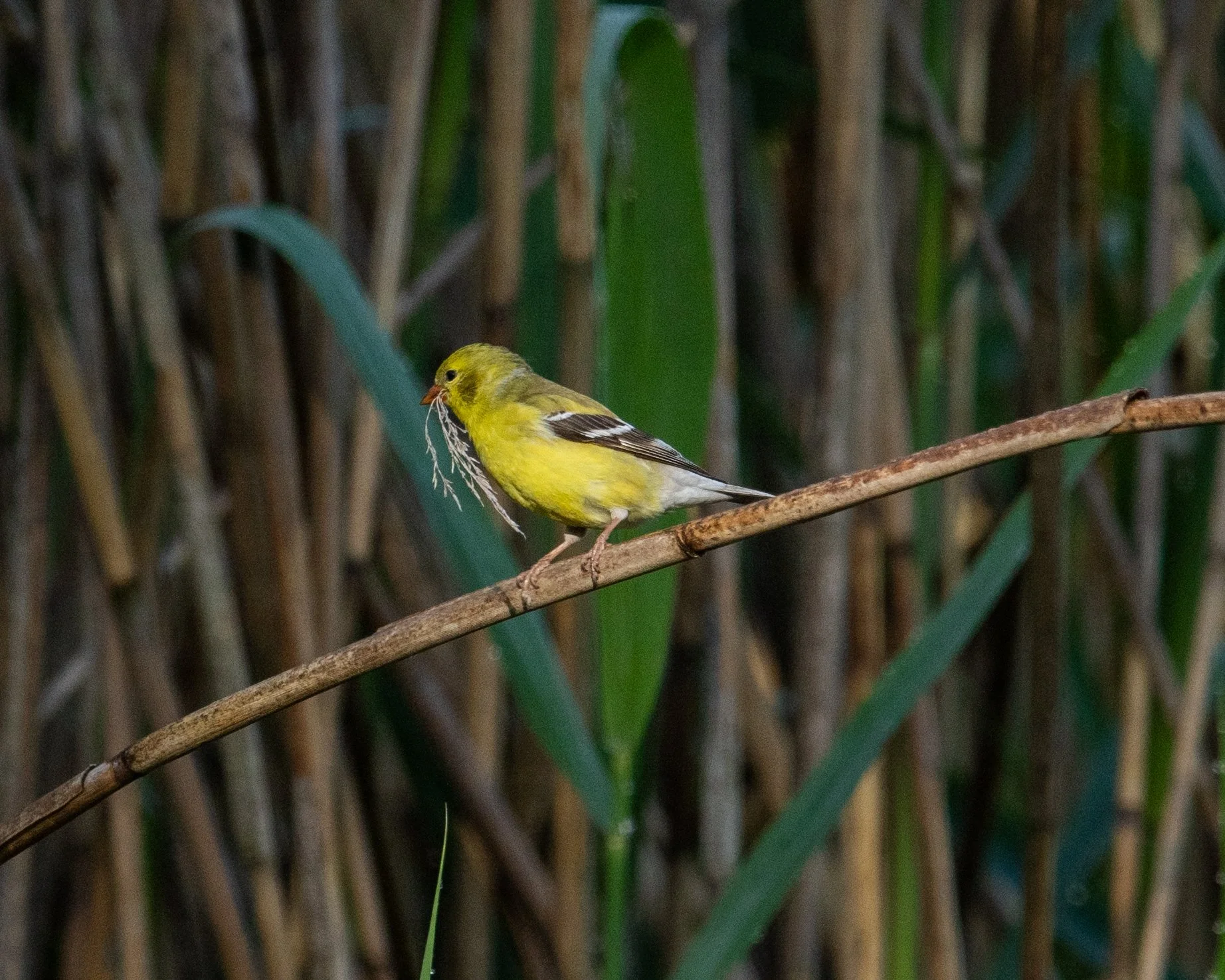 DSC_0640.jpg