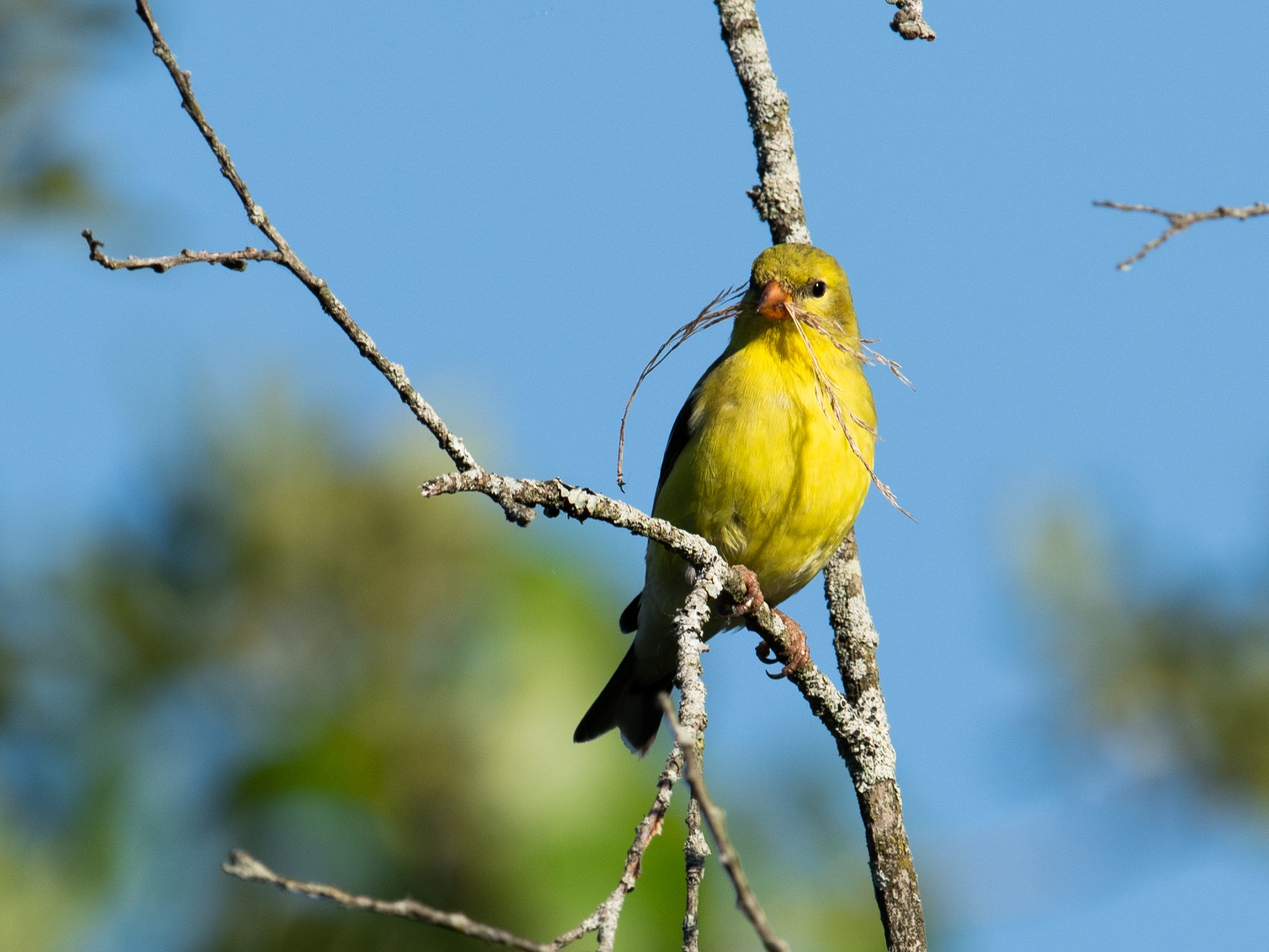 DSC_0682.jpg