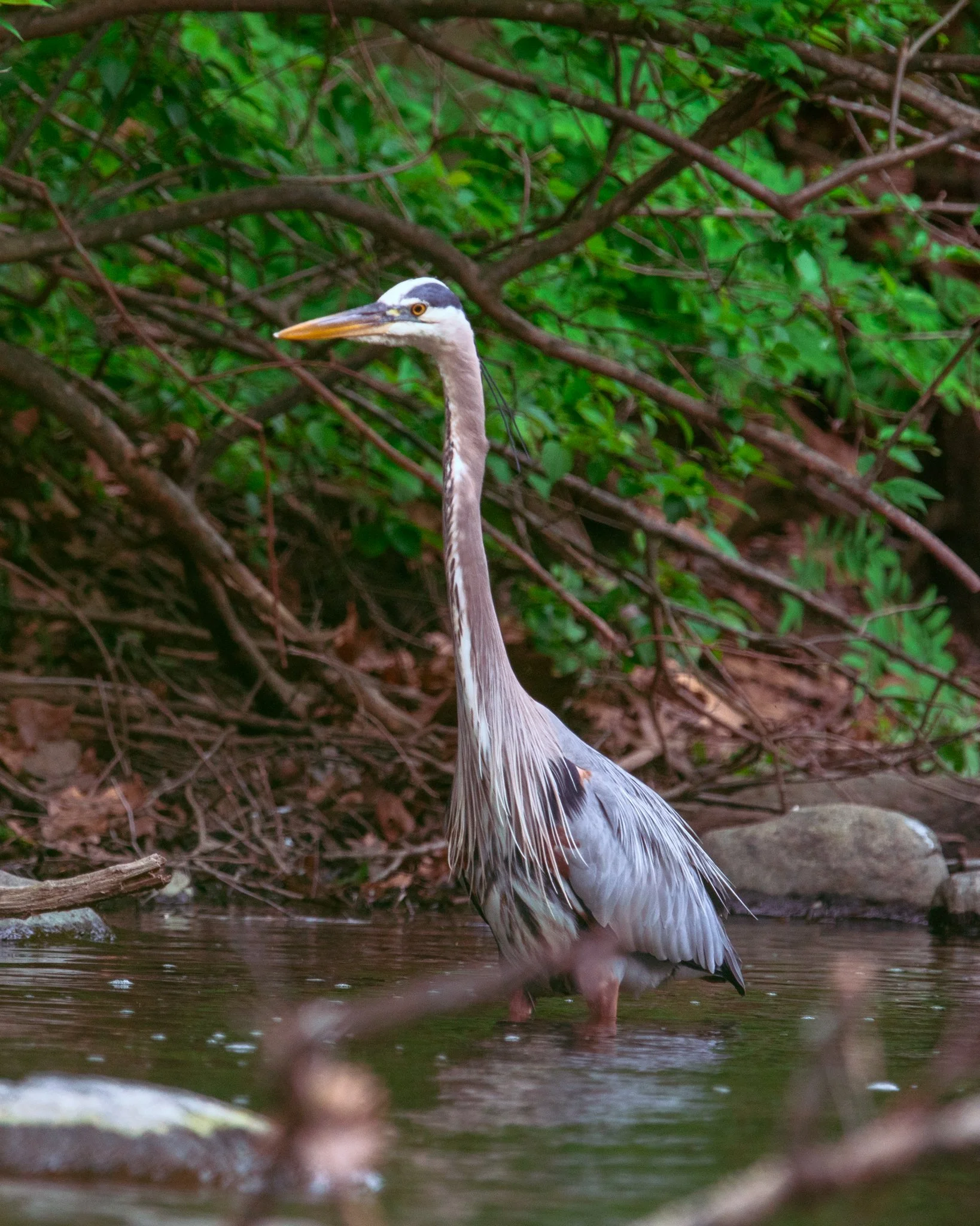 DSC_0794.jpg