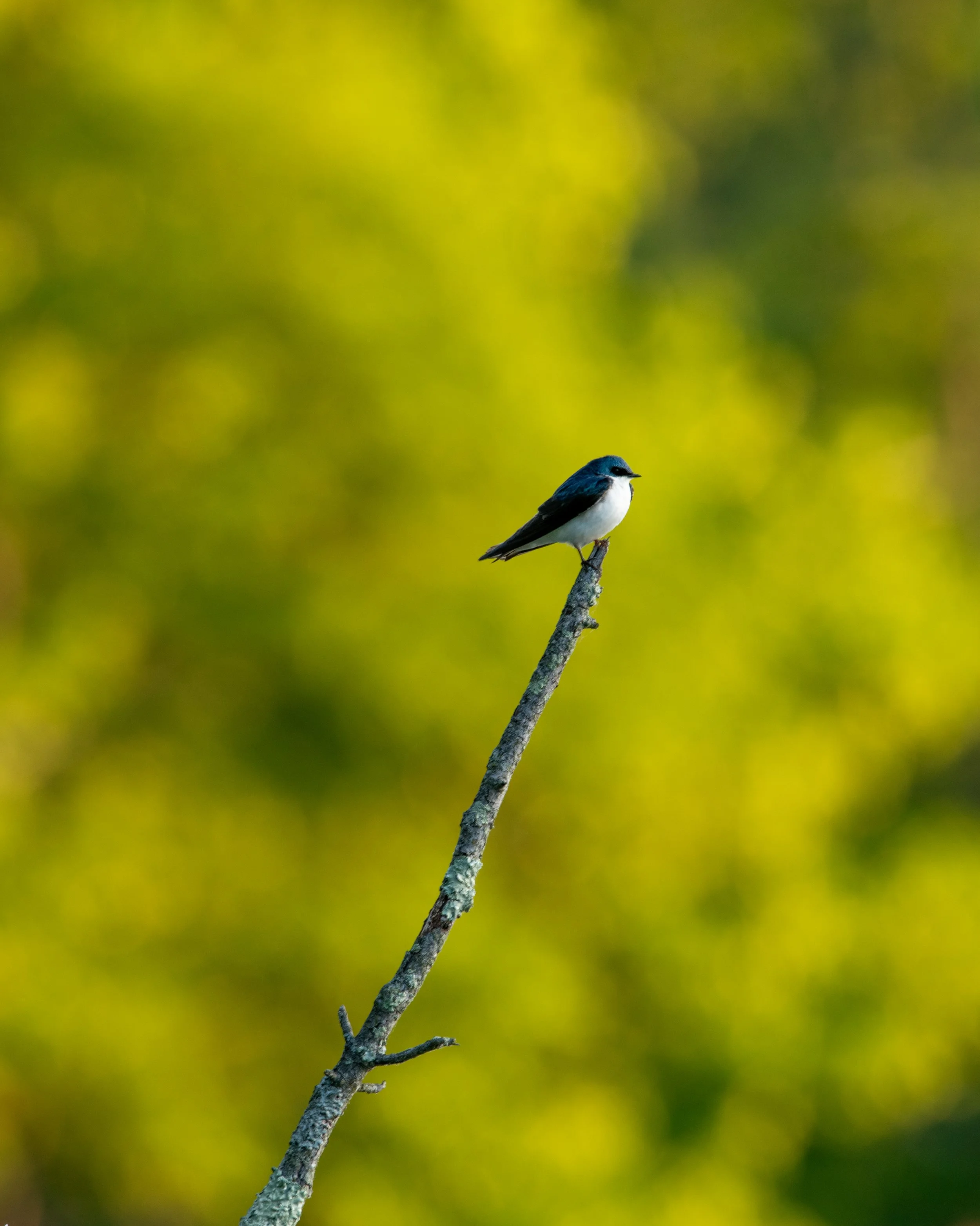 DSC_0277.jpg