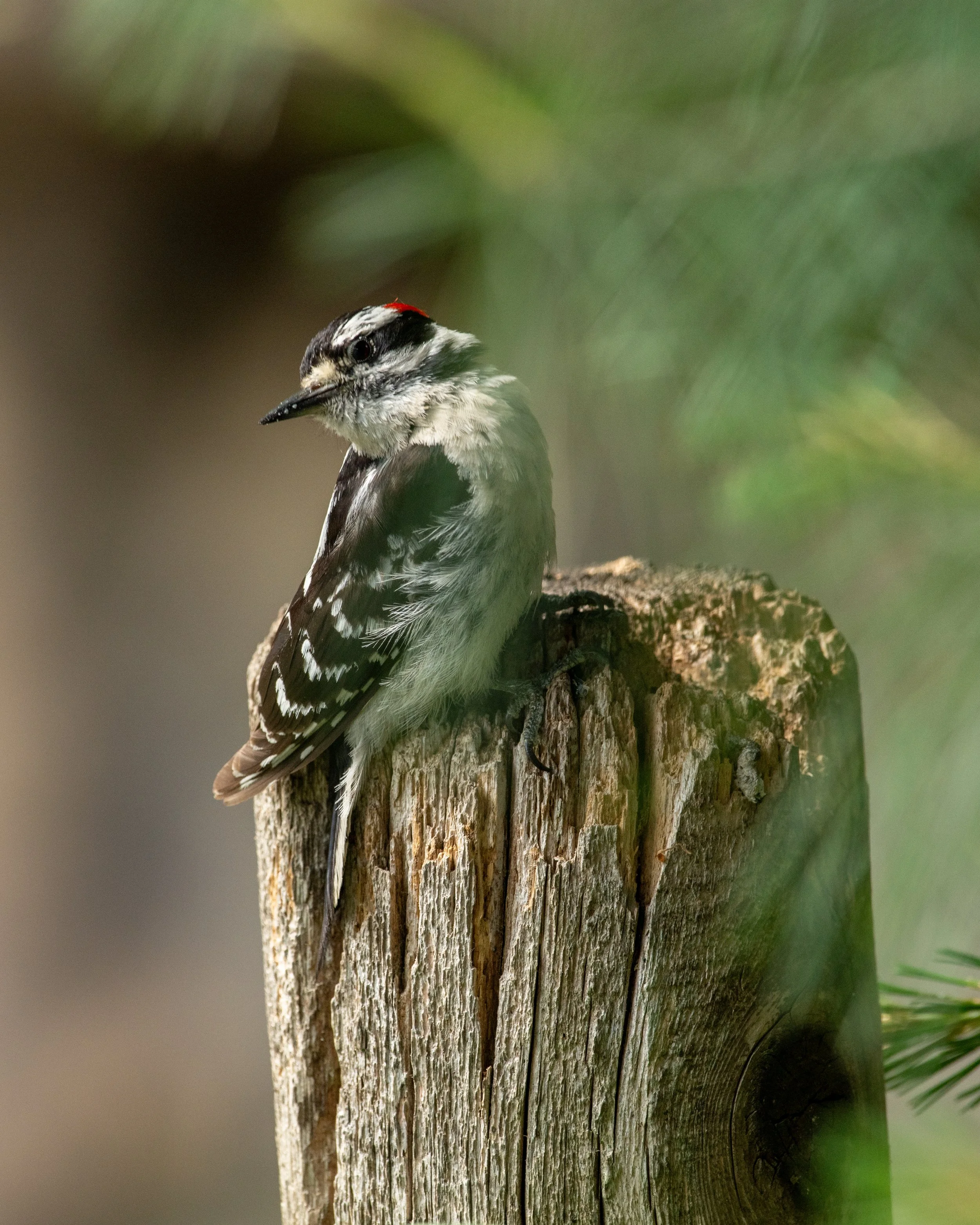 DSC_0122.jpg