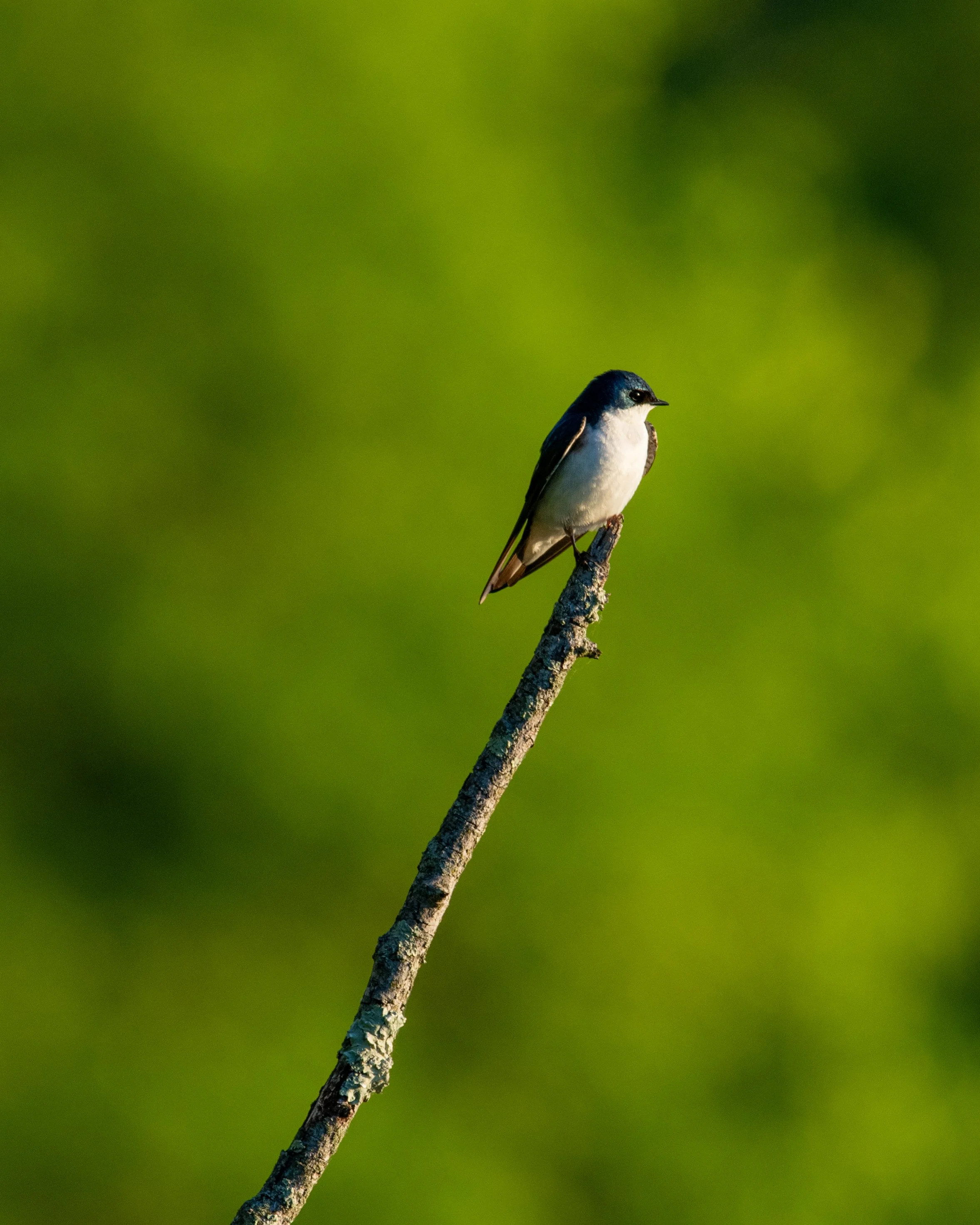 DSC_0320.jpg