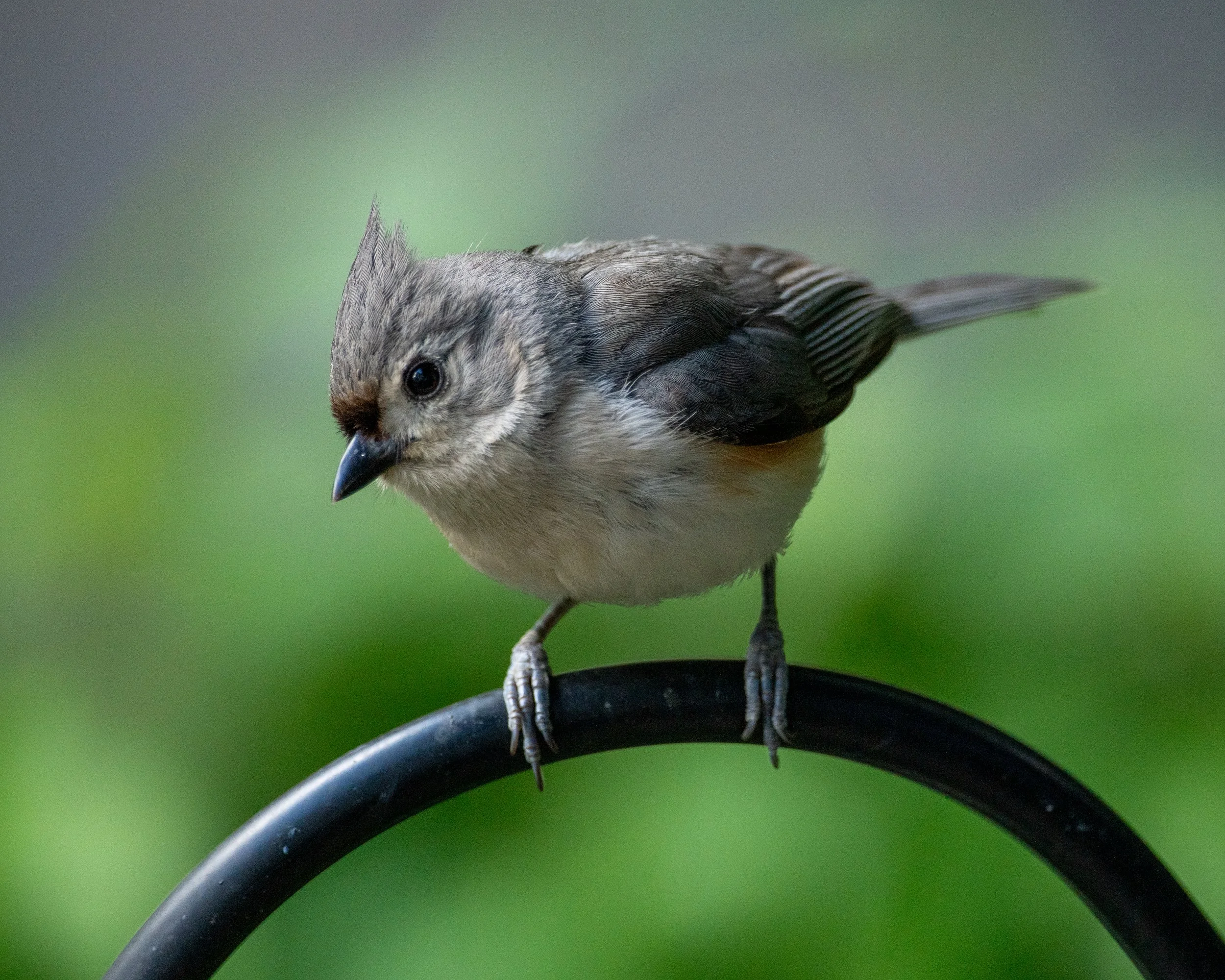 DSC_0147.jpg