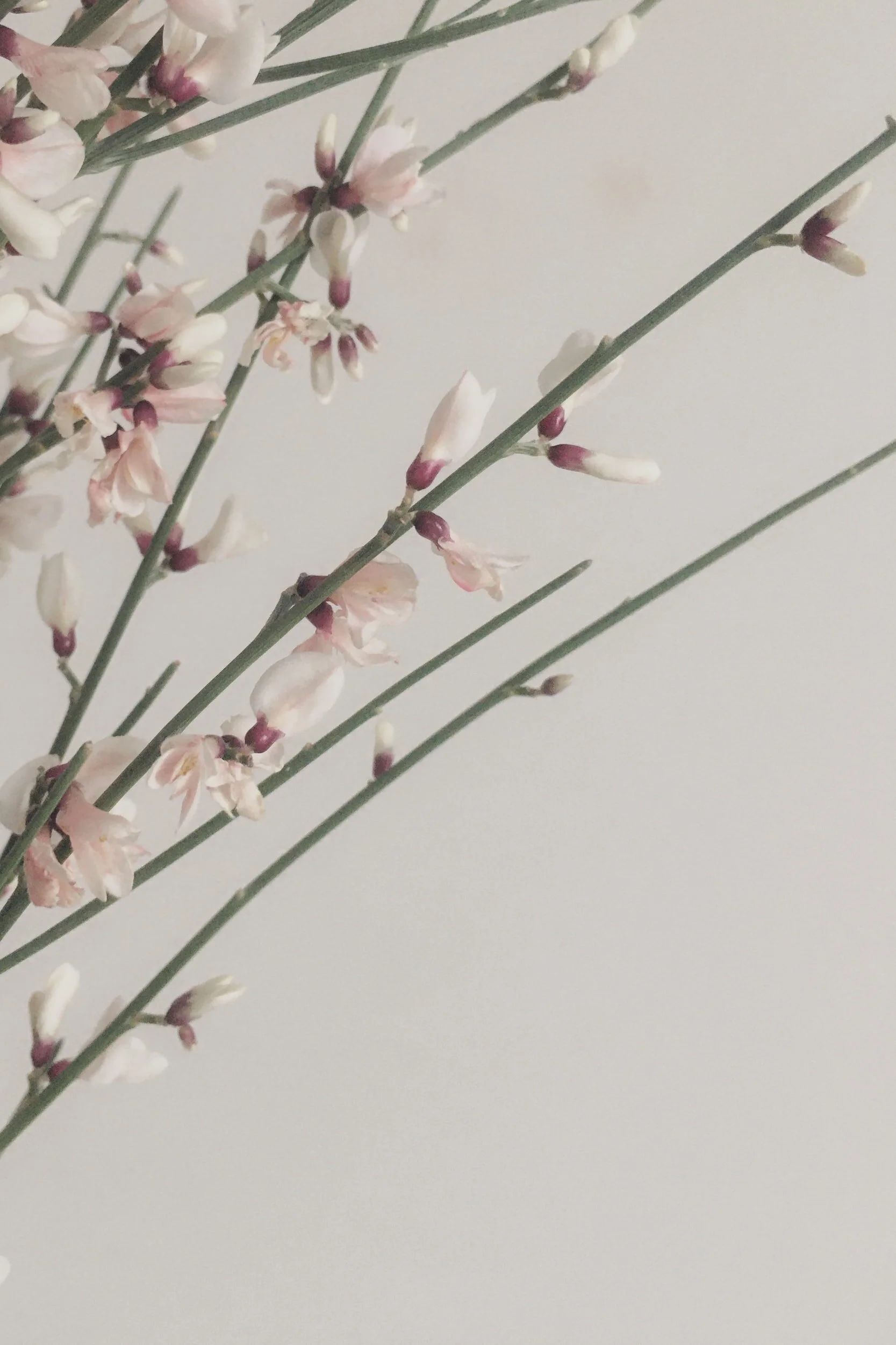 Writing 212-- introducing the latest and greatest 