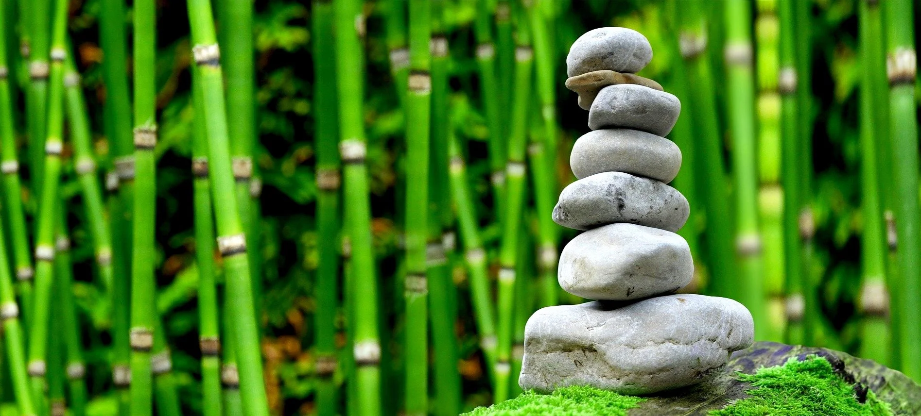 INTRODUCING: STACKING STONES -- Winter Writing 212