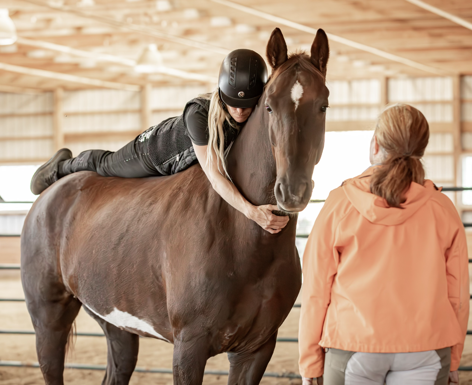 EDUCATION MODELS AND EQUINES – WHAT HAPPENS WHEN THERE IS A CHOICE?