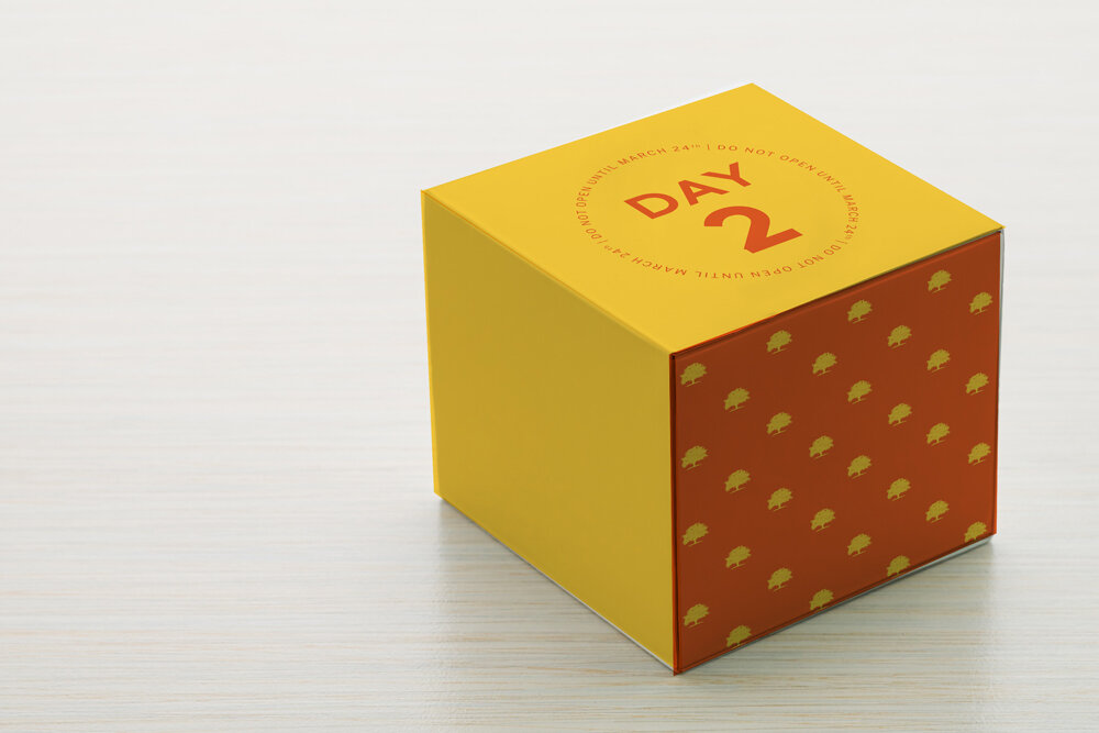 Rally-box-shipping-mock-up2.jpg