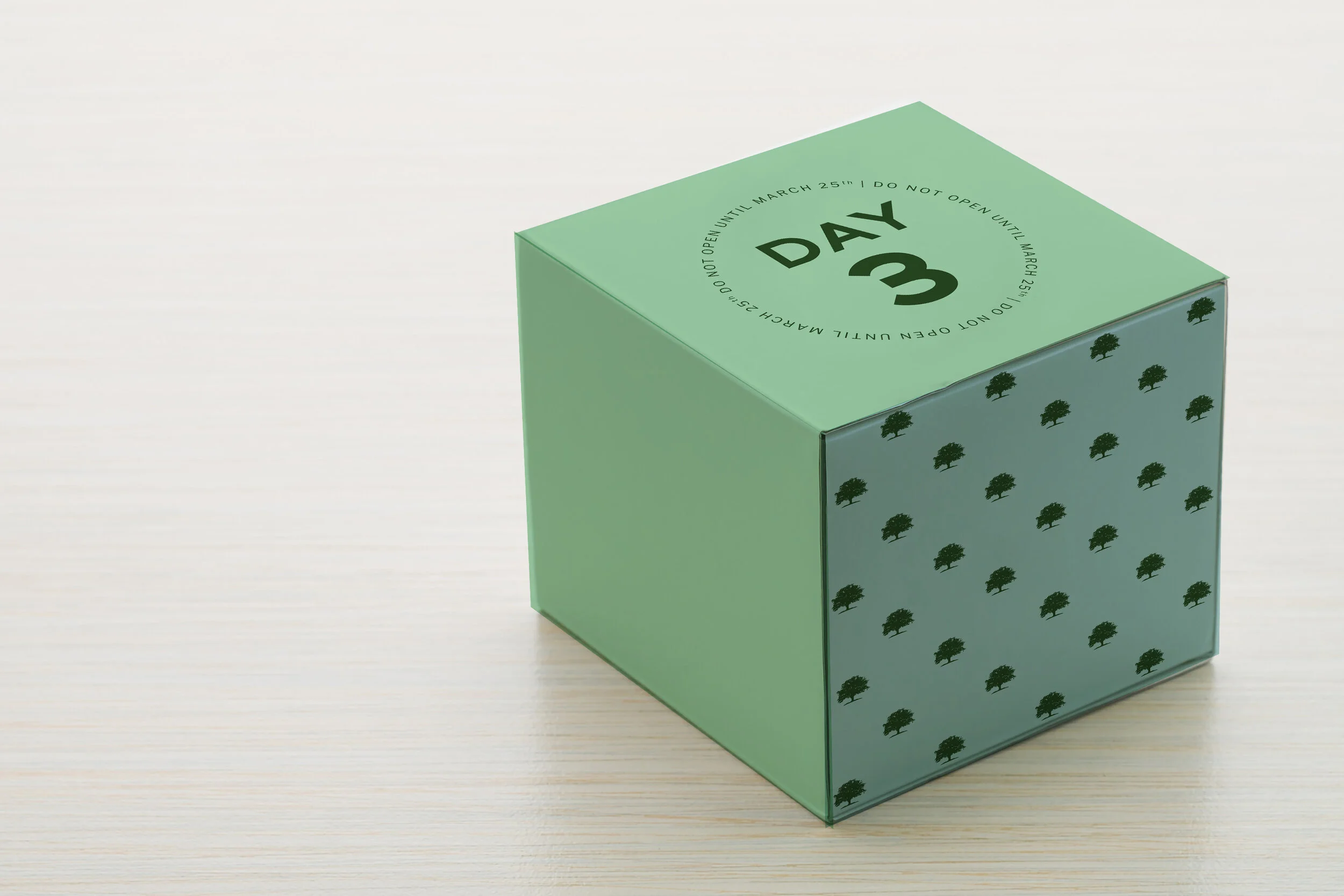 Rally-box-shipping-mock-up4.jpg