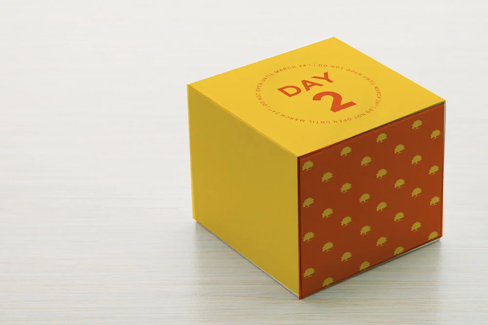 Rally-box-shipping-mock-up2.jpg