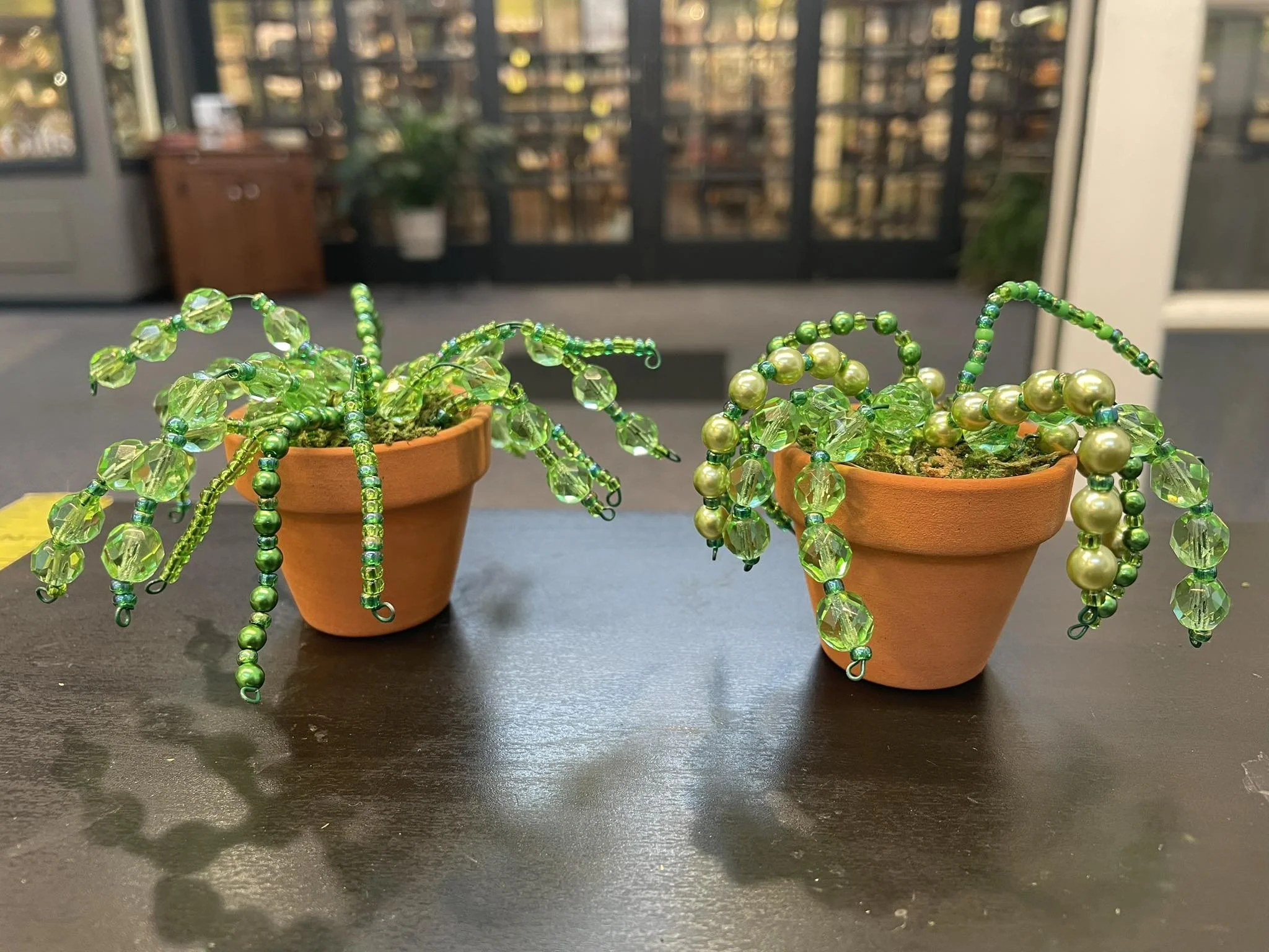 Make and Take Tiny Succulents Event-In Studio Only
