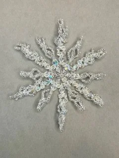 March 2026 Snowflake Class with Donna Dickt-Zoom Only 