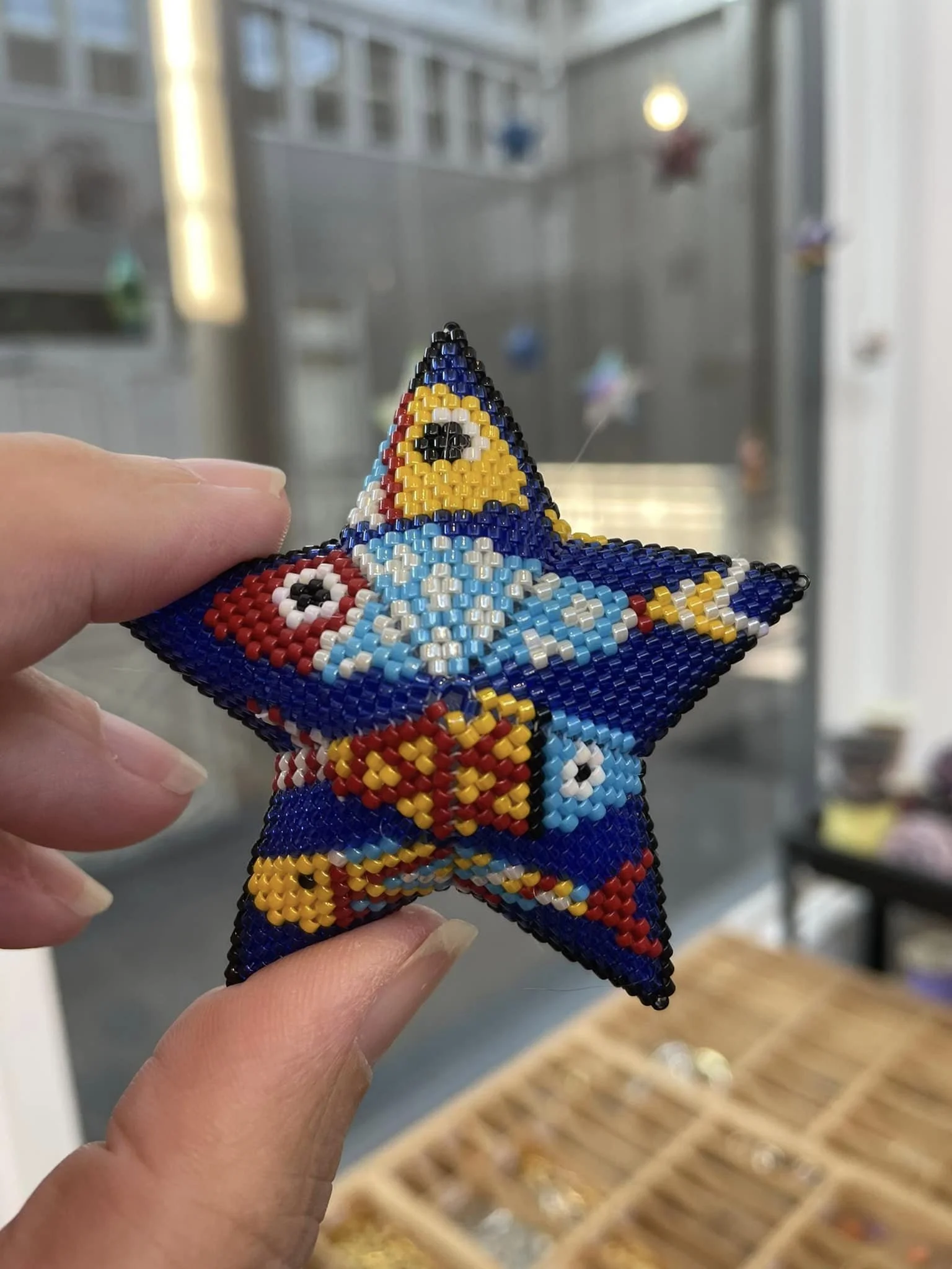 sardine star back.jpg