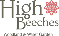 High Beeches Woodland &amp; Water Garden