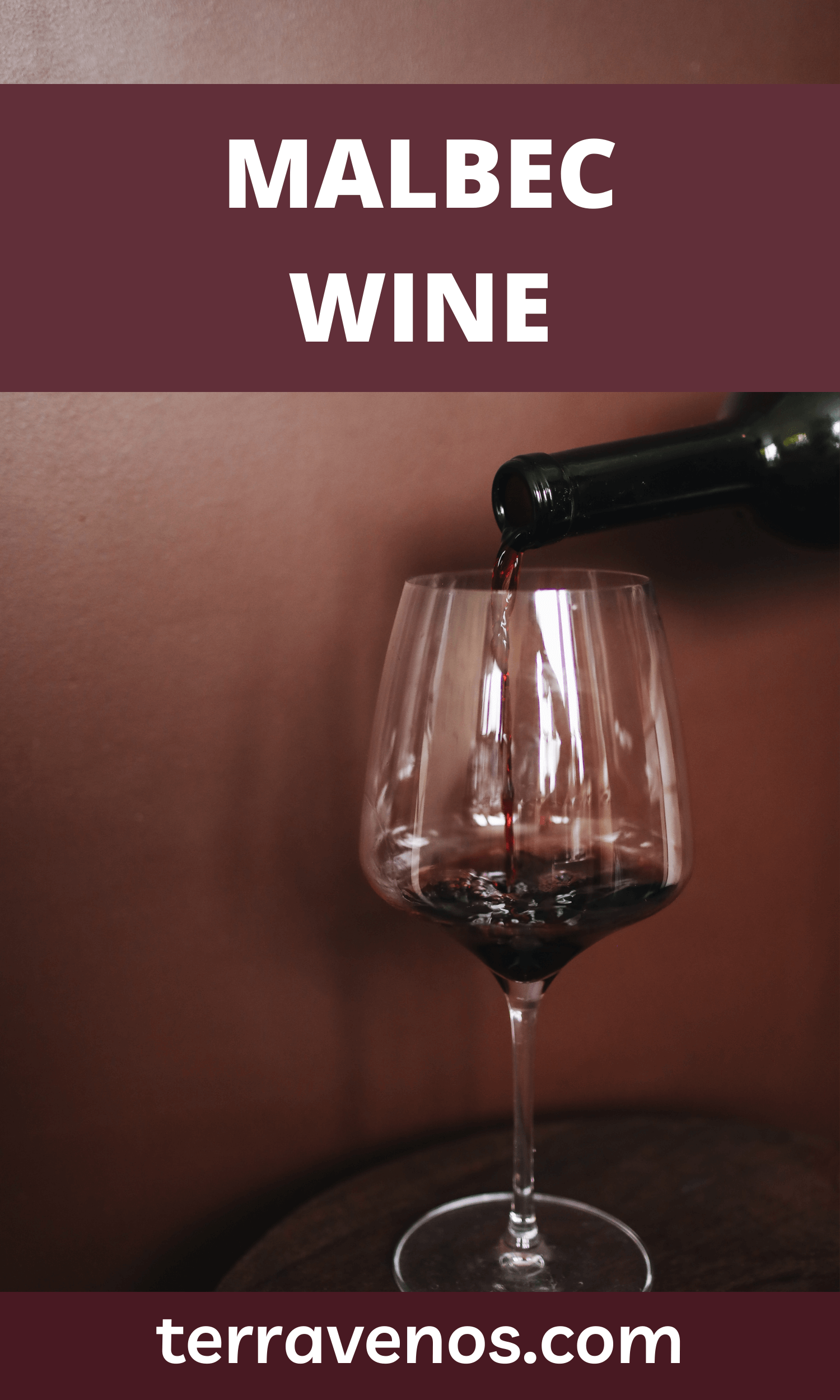 Malbec Wine A Comprehensive Guide — tèr·ra·ve·nos