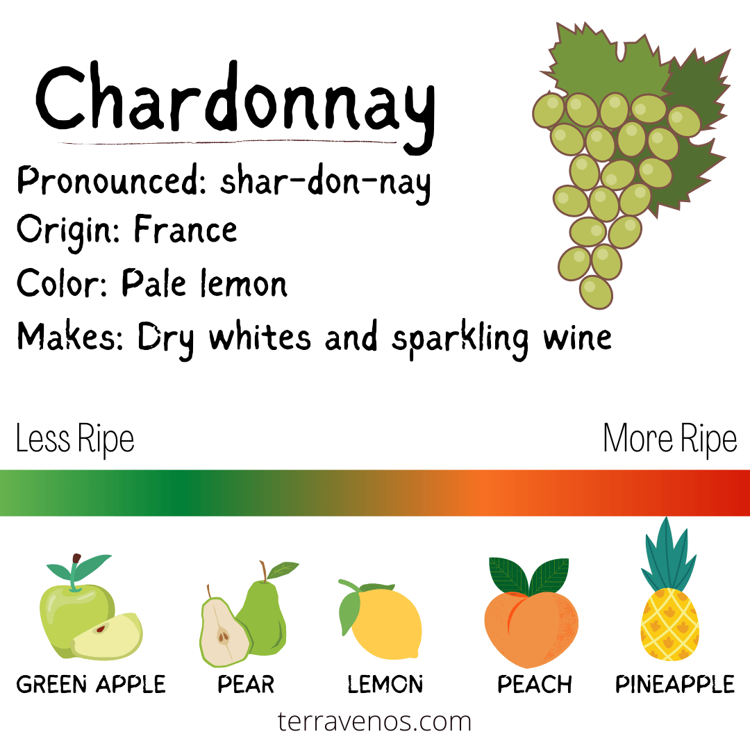 Chardonnay vs Pinot Grigio Which Will You Drink Tonight? — tèr·ra·ve·nos