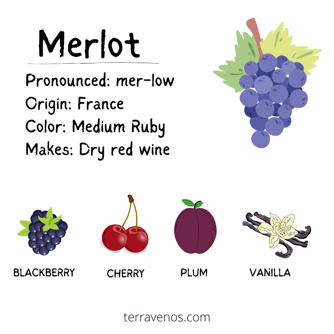 The Comprehensive Guide to Merlot