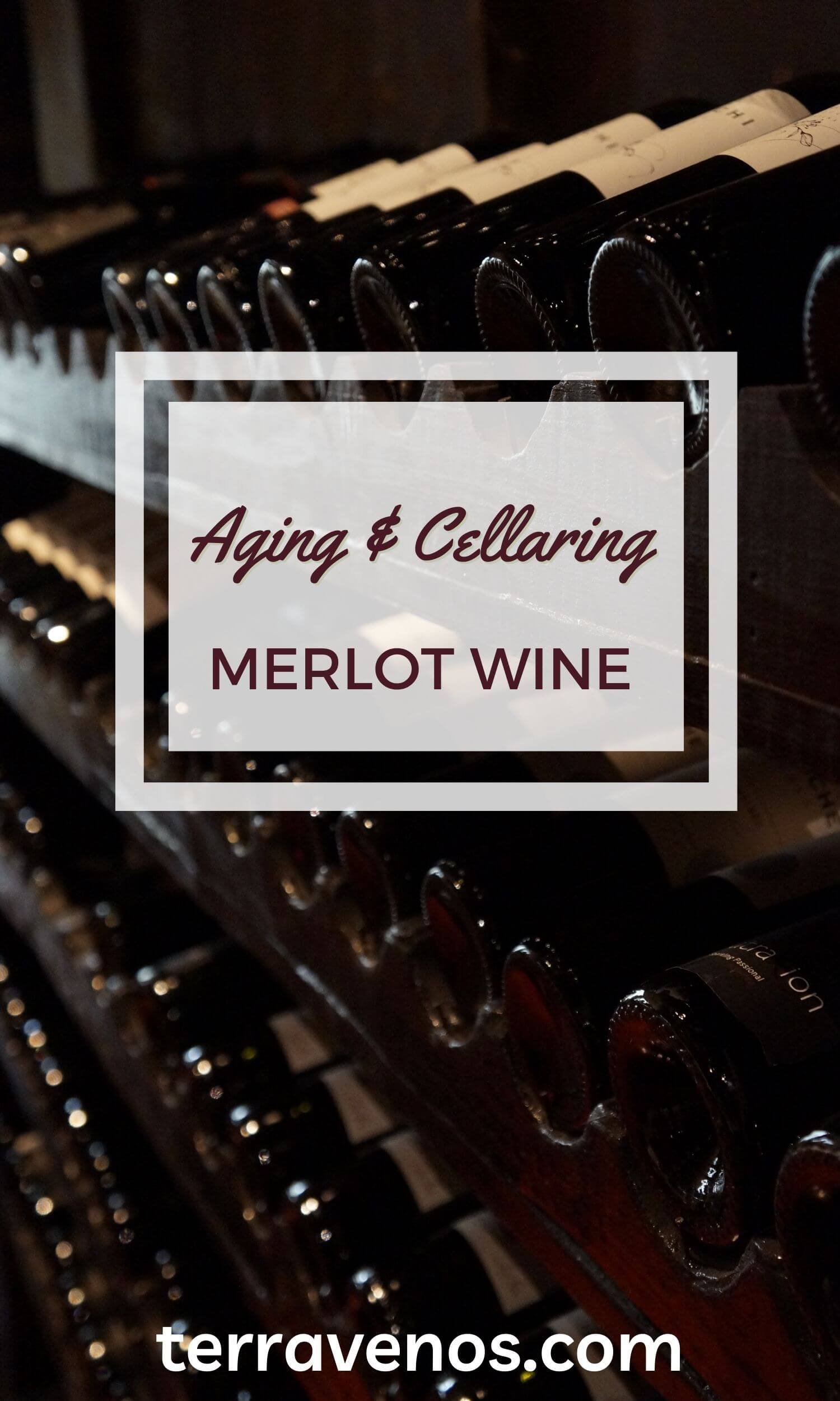 What’s the Aging Potential of Merlot Wines: Cellaring Secrets